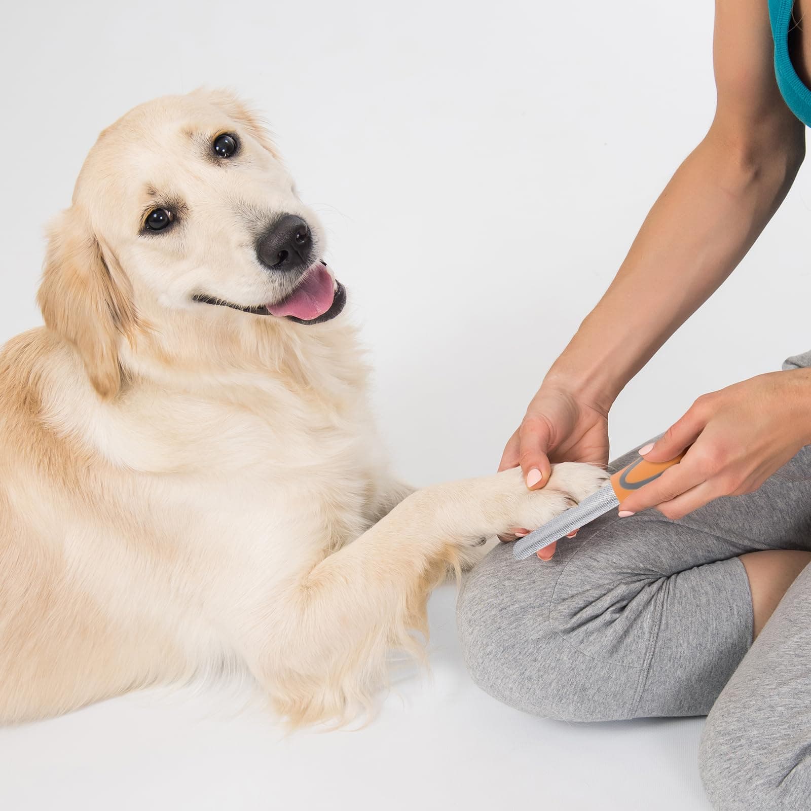 Dog Nail File, Pet Nail Filer for Smooth and Shape All Toenail Types, Polish Off Rough Edges, Remove Burs for Outdoor & Indoor Dog, Cat, Puppy, Kitten, Bird, Durable Metal Nail Grooming Tool - image 7