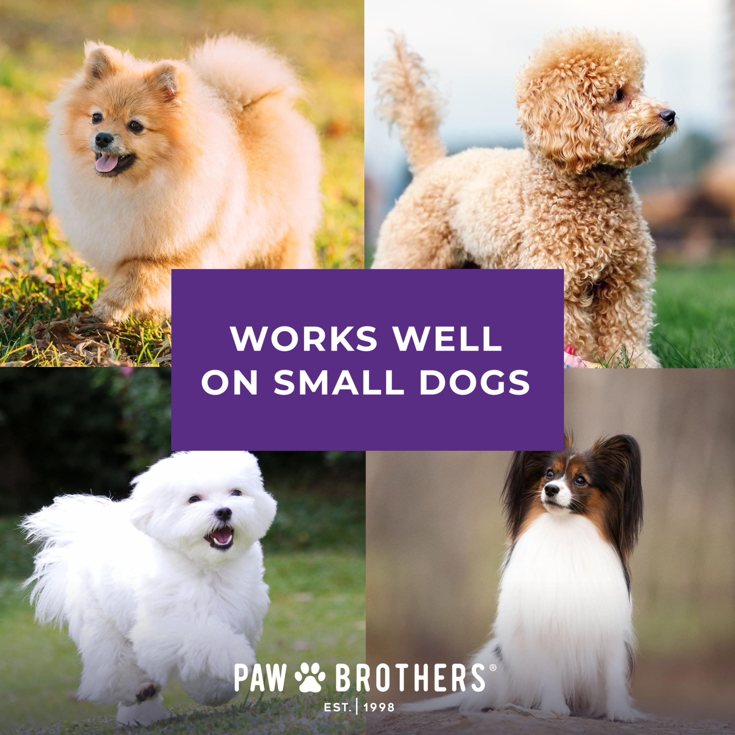 RYAN'S PET SUPPLIES Paw Brothers Small Medium Dog & Cat Nail Clipper Scissor and Trimmer, Easy to use, Toenail Claw, Professional Stainless Steel Blade Grooming Tool for Pets - image 6