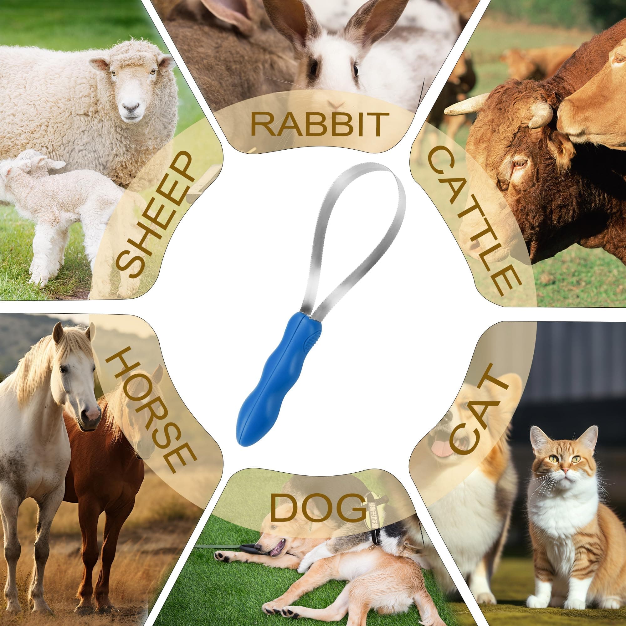 Dual-Sided Shedding Blade Dog Hair Brush - Stainless Steel Grooming Tool for Horses, Cattle, Sheep with Comfort Grip - Fine & Coarse Teeth for Long and Short Hair（2 Pcs） - image 4