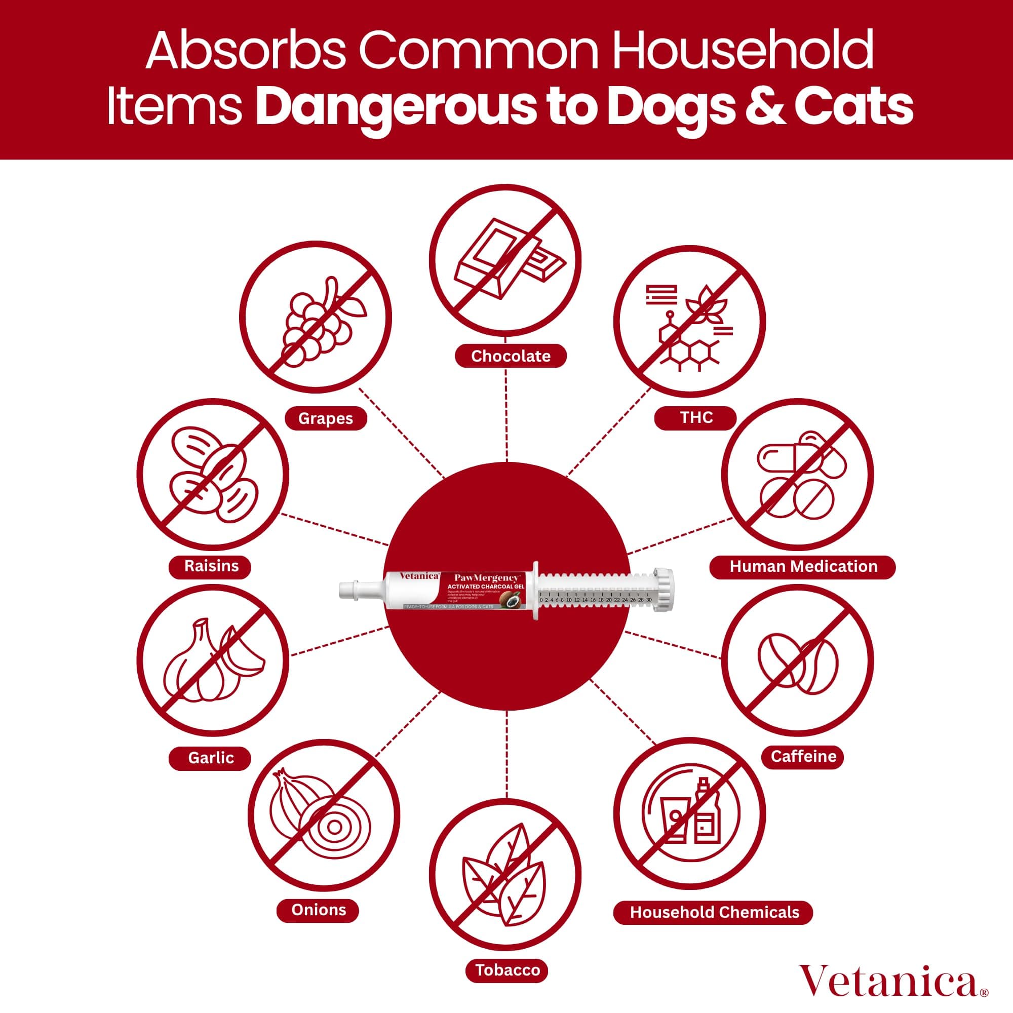 PawMergency – Activated Charcoal First Aid Kit Emergency Rescue for Dogs, Cats, Puppy & Pet Poison Kit, Camping Survival Remedy Essential,Oral Anti Diarrhea Digestive Paste Ready Absorb Toxins - image 2