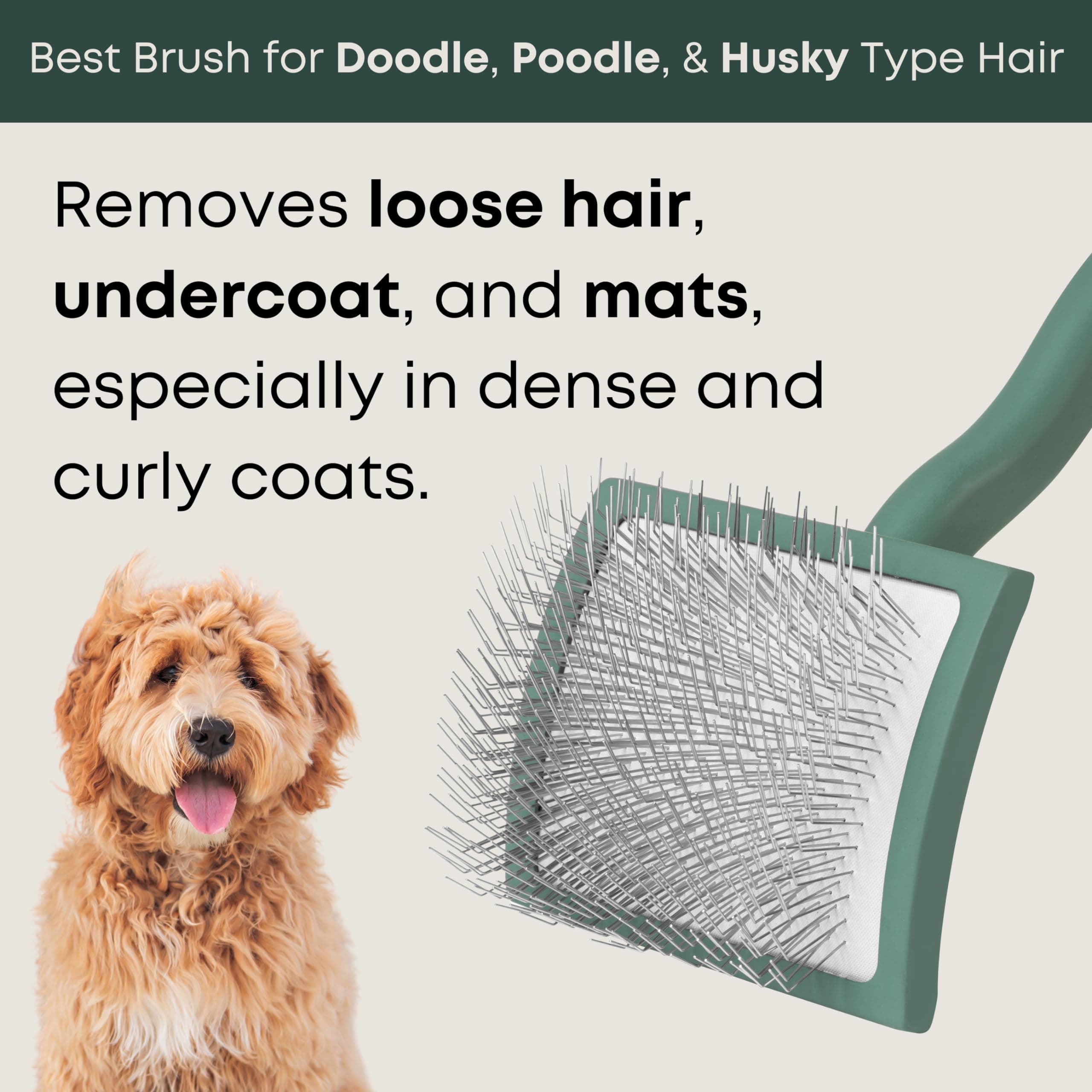 Freshly Bailey Doodle Brush for Goldendoodle, Poodle, and Labradoodle Coats - Best Slicker for Dogs With Wavy & Curly Hair - Detangle & Fluff Like a Pro - Grooming Must Haves (Large) - image 2