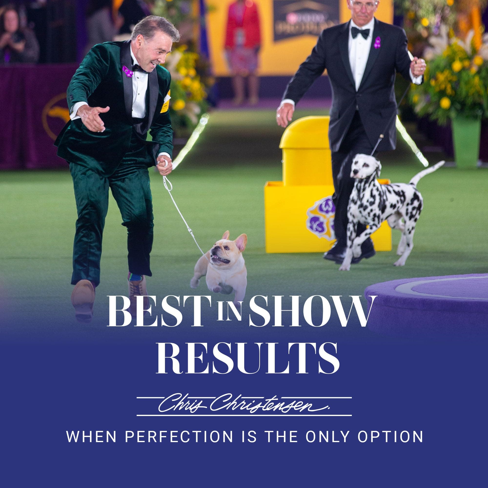 Chris Christensen Dog Brush, 27 mm Oval Pin Brush, Original Series, Groom Like a Professional, Stainless Steel Pins, Lightweight Beech Wood Body, Ground and Polished Tips - image 8