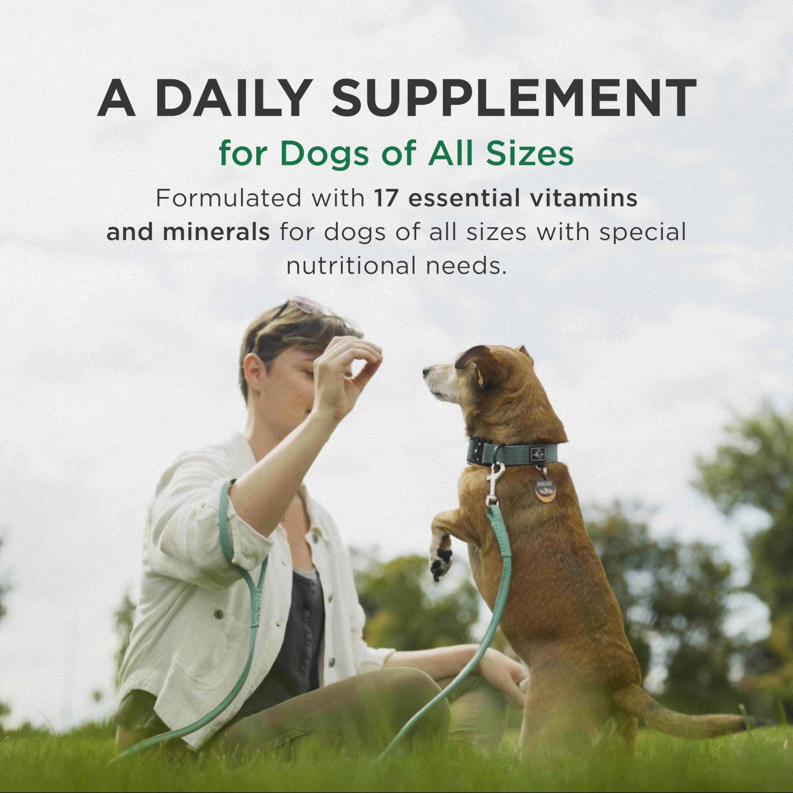 Pet-Tabs Multivitamin and Mineral Supplement for Dogs, Chewable Tablet, 60 Count Bottle - image 3