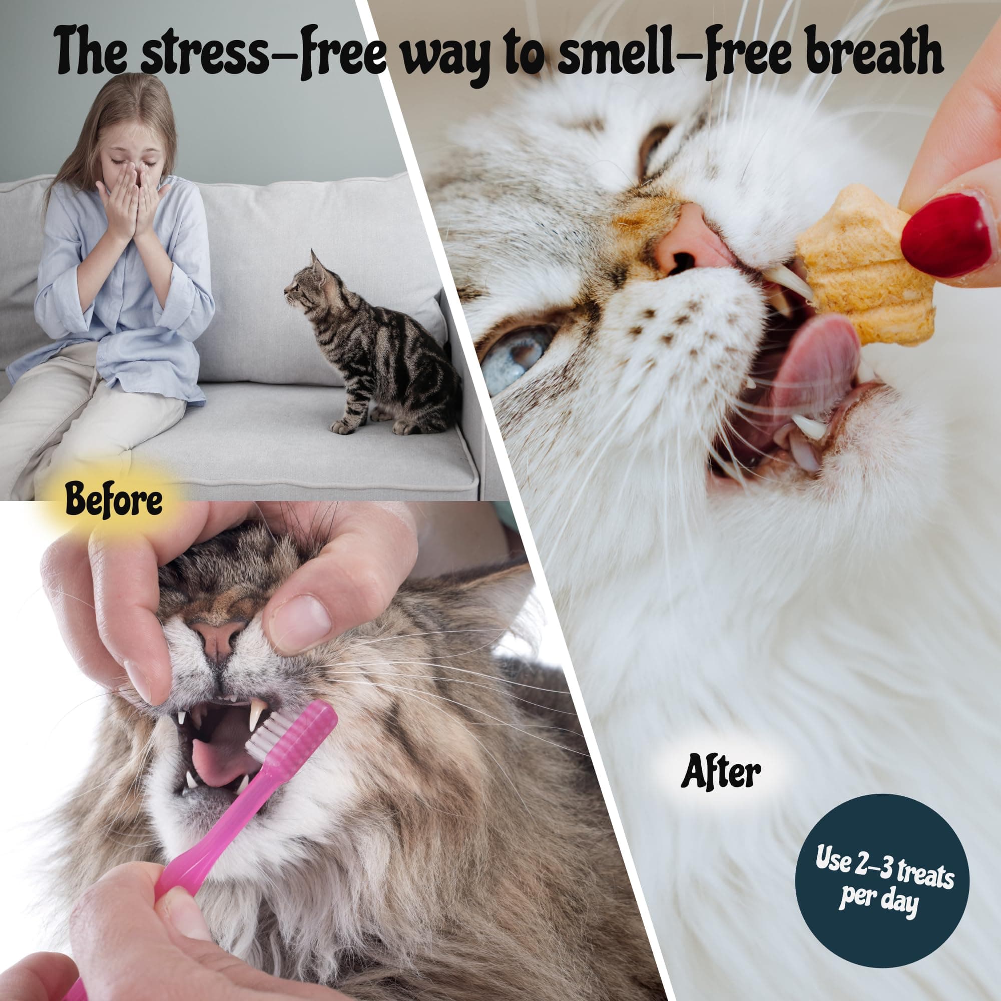 MalsiPree Cat Dental Treats, 32-Count - Freeze Dried Chews for Fresh Breath & Tartar Control - Star Shape Snack for Cats - Chicken Base Chews Healthy Snack for Kitten Gift - image 6