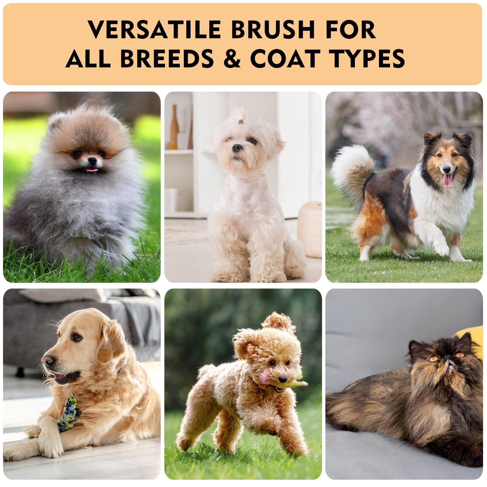 Dog Slicker Brush for Shedding & Grooming - Professional Dog Brush and Cat Brush with Coated Tips & Air-Cushion Design, Deshedding Tool Removes Undercoat Tangles & Loose Fur for Long/Short Hair Pets - image 6