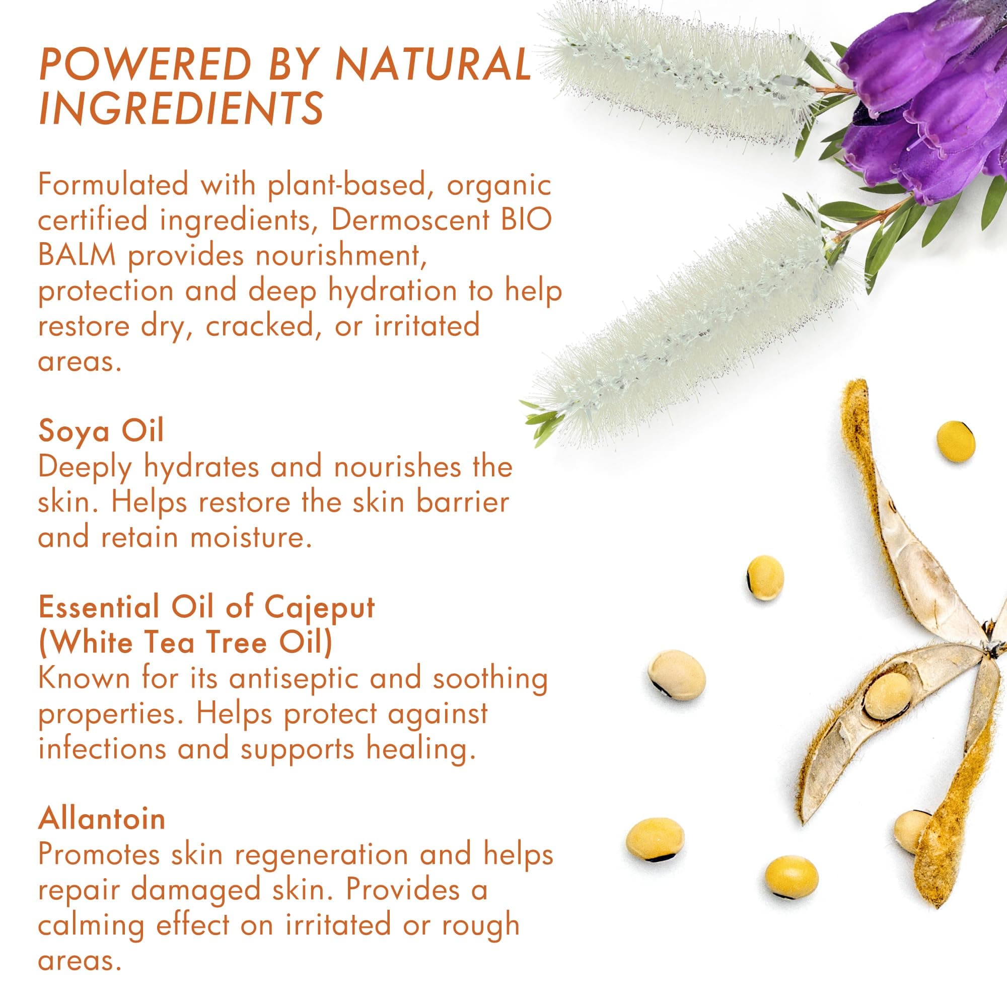 Dermoscent | Bio Balm | Natural, Organic, Healing Dog Paw Balm | Skin & Paw Soother For Dogs With Dry, Cracked, & Rough Paws | Veterinarian-Approved Paw Pad Moisturizer & Protector - image 6