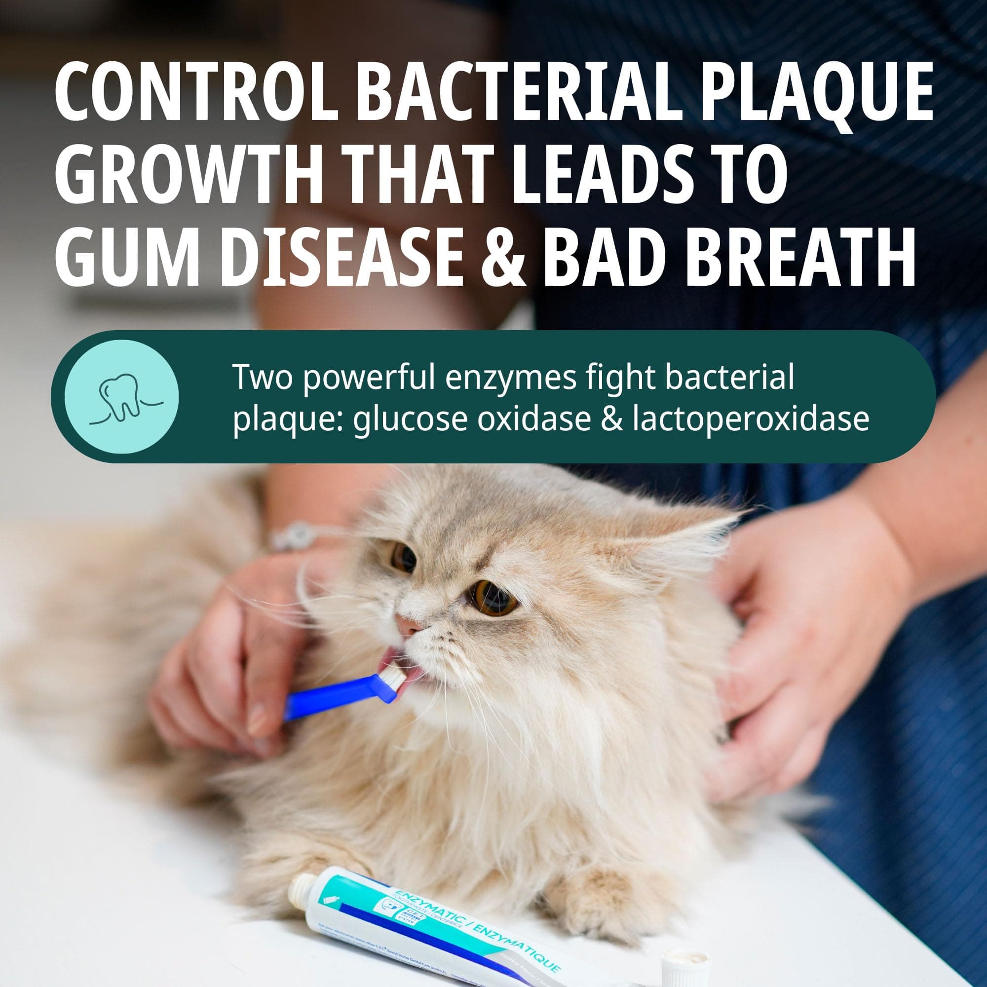 Virbac C.E.T.&reg; Oral Hygiene Kit for Dogs | Poultry-flavor Toothpaste | Fingerbrush and Pet Toothbrush - image 3