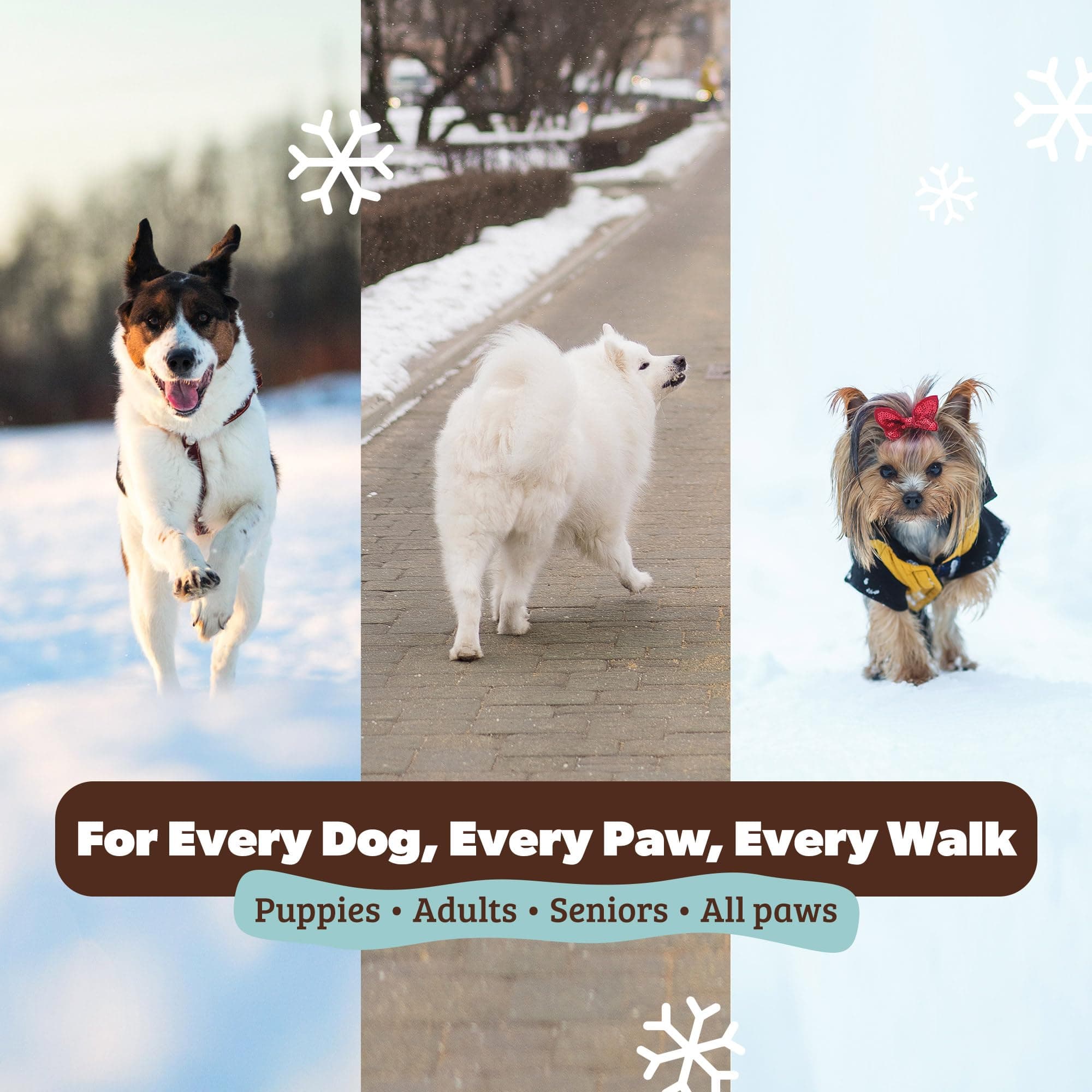 Natural Dog Company Paw Soother Balm & Wax - Dog Paw Balm & Moisturizer for Dry, Cracked Paw Pads, Helps Moisturize & Condition Winter-Worn Paws, Coconut Oil & Calendula, Daily Paw Care, 1 oz Tin - image 4