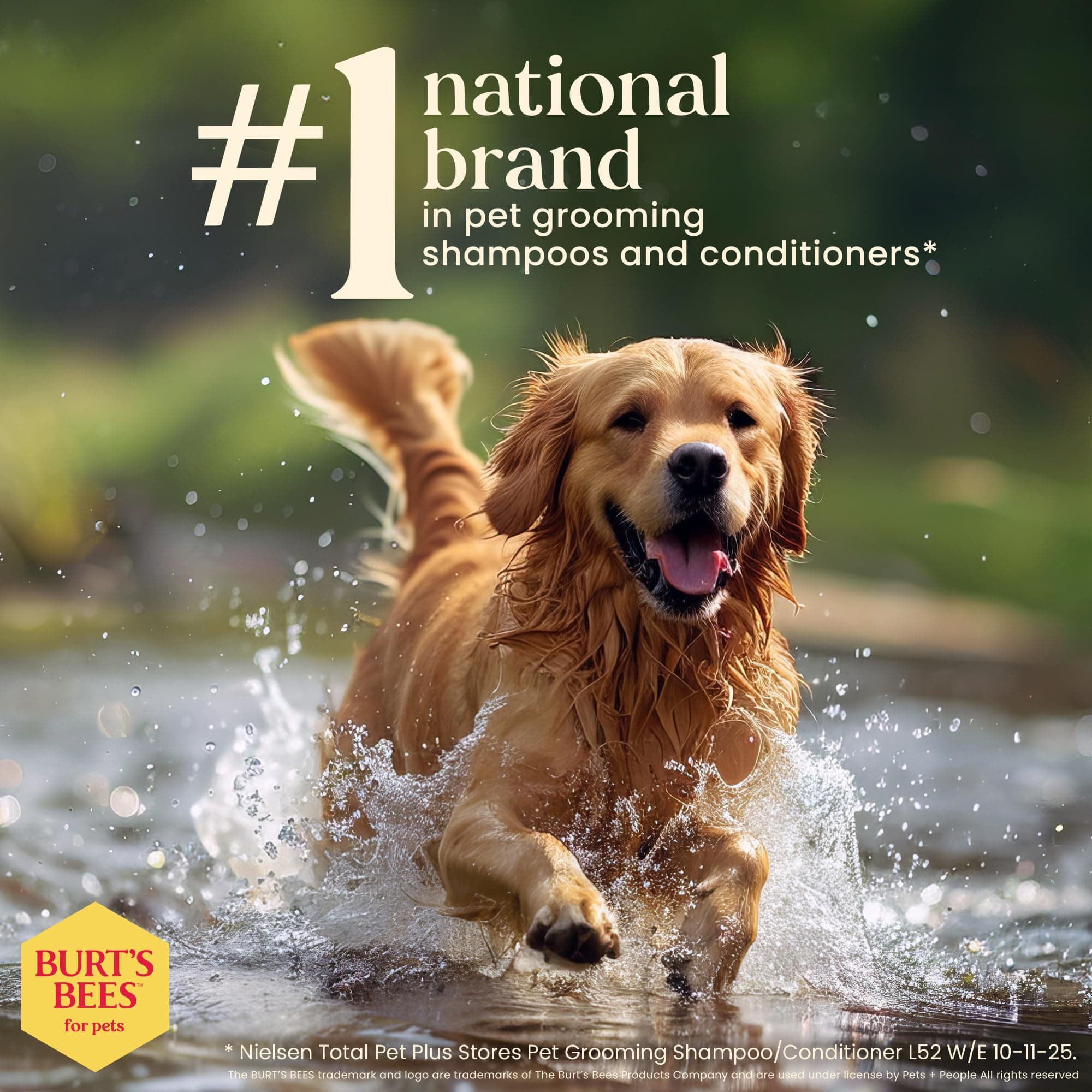 Burt's Bees for Pets Nose and Paw Balm with Beeswax and Cocoa Butter,100% Natural Origin Formulas, Dog Paw Pad Balm, Paw Moisturizer for Dogs, Dog Nose Balm - image 7