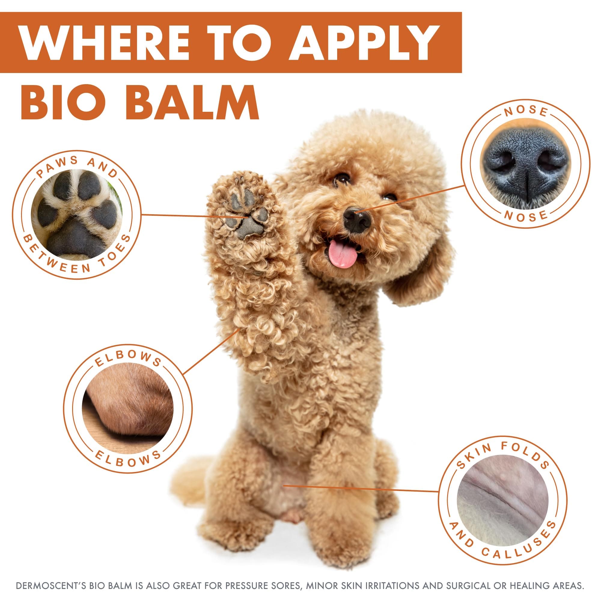Dermoscent | Bio Balm | Natural, Organic, Healing Dog Paw Balm | Skin & Paw Soother For Dogs With Dry, Cracked, & Rough Paws | Veterinarian-Approved Paw Pad Moisturizer & Protector - image 4
