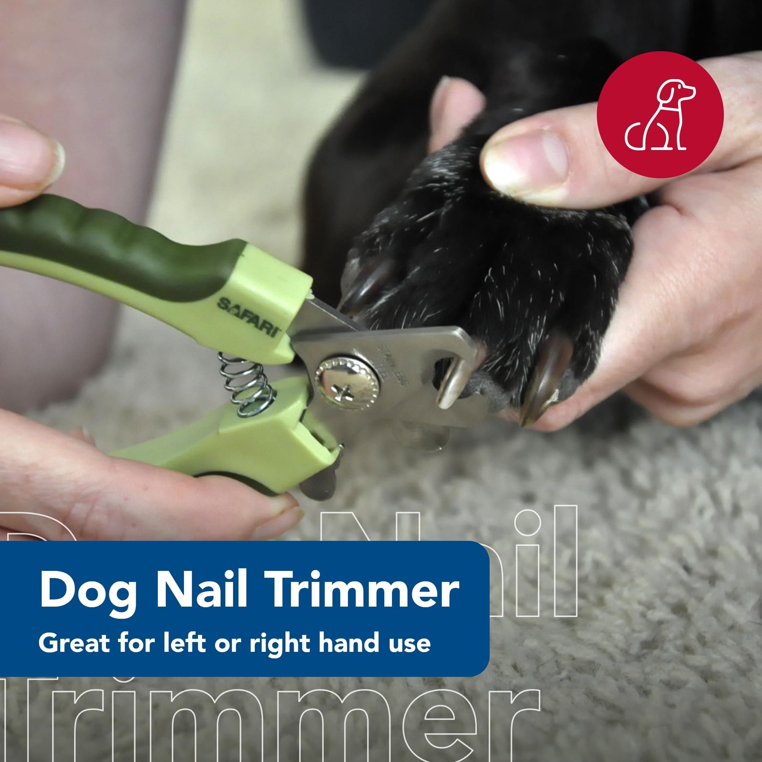Coastal Pet Safari Professional Dog Nail Trimmer - Dog Nail Clippers for Grooming - Dog Claw Care for Small & Large Dogs - Nail Trimmer - Pet Supplies for Dog Grooming - Standard, 5" x 1.5" - image 2
