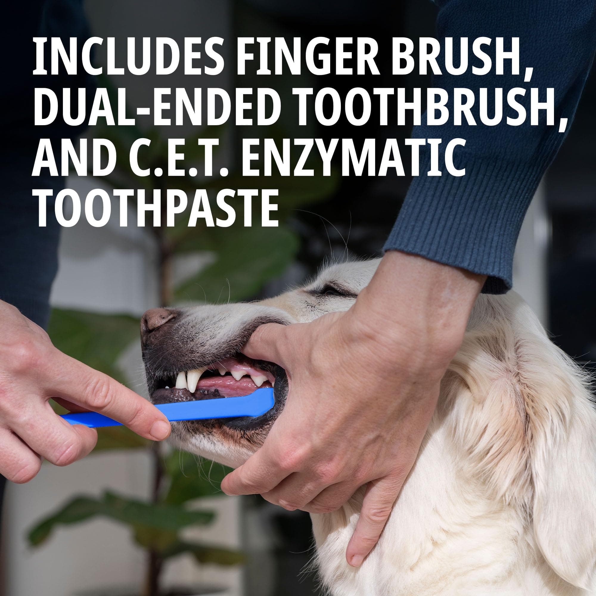 Virbac C.E.T.&reg; Oral Hygiene Kit for Dogs | Poultry-flavor Toothpaste | Fingerbrush and Pet Toothbrush - image 2