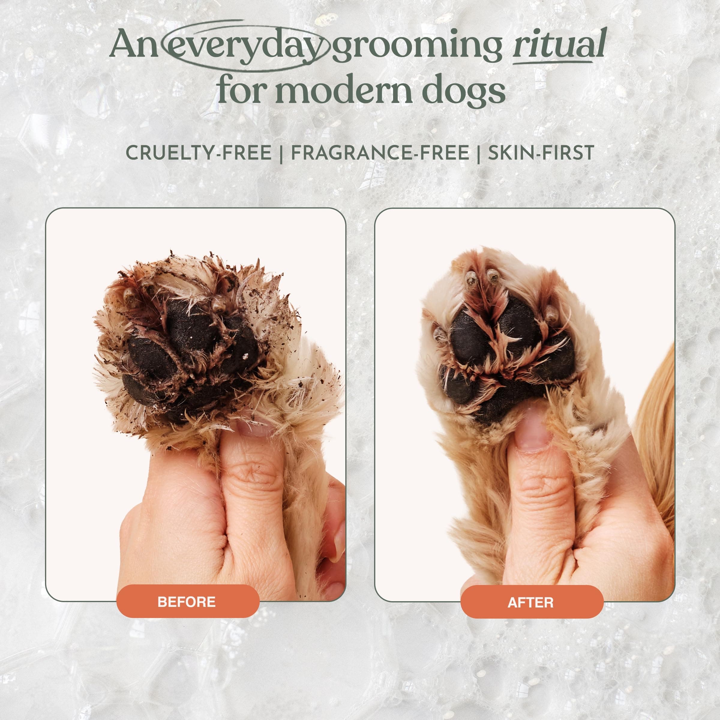 Dandylion Clean Paws | No-Rinse Dog Paw Cleaner & Dog Paw Washer | Gentle, Fragrance-Free, pH Balanced Foaming Cleanser with Silicone Bristle Brush | Safe for All Dogs | 5 fl oz - image 4