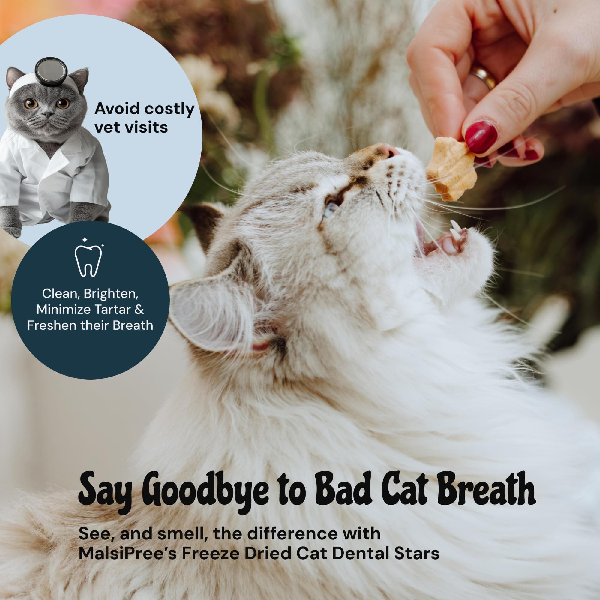 MalsiPree Cat Dental Treats, 32-Count - Freeze Dried Chews for Fresh Breath & Tartar Control - Star Shape Snack for Cats - Chicken Base Chews Healthy Snack for Kitten Gift - image 2