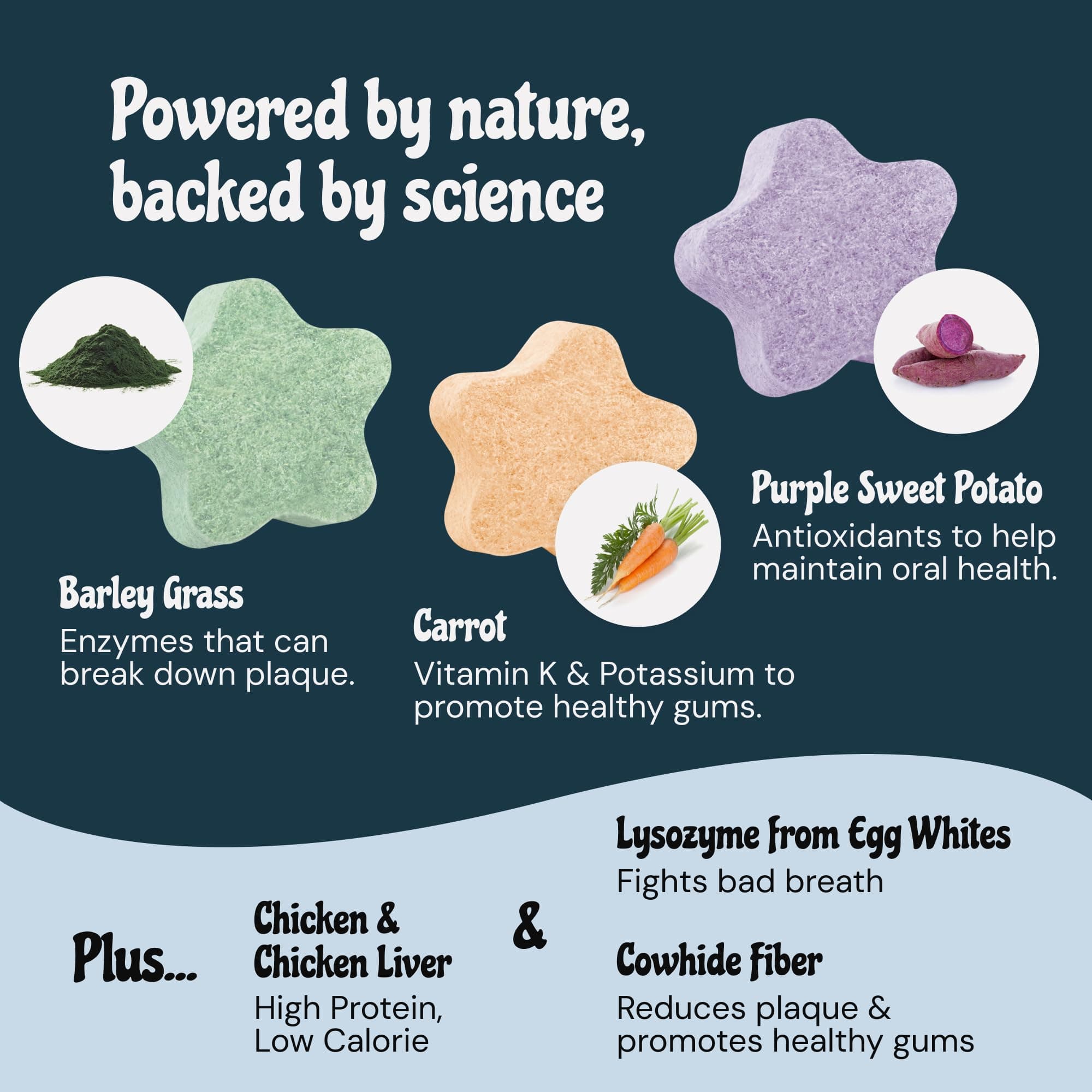 MalsiPree Cat Dental Treats, 32-Count - Freeze Dried Chews for Fresh Breath & Tartar Control - Star Shape Snack for Cats - Chicken Base Chews Healthy Snack for Kitten Gift - image 3