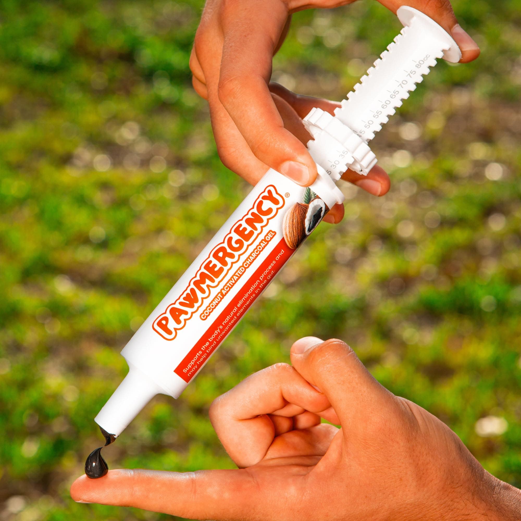 PawMergency – Activated Charcoal First Aid Kit Emergency Rescue for Dogs, Cats, Puppy & Pet Poison Kit, Camping Survival Remedy Essential,Oral Anti Diarrhea Digestive Paste Ready Absorb Toxins