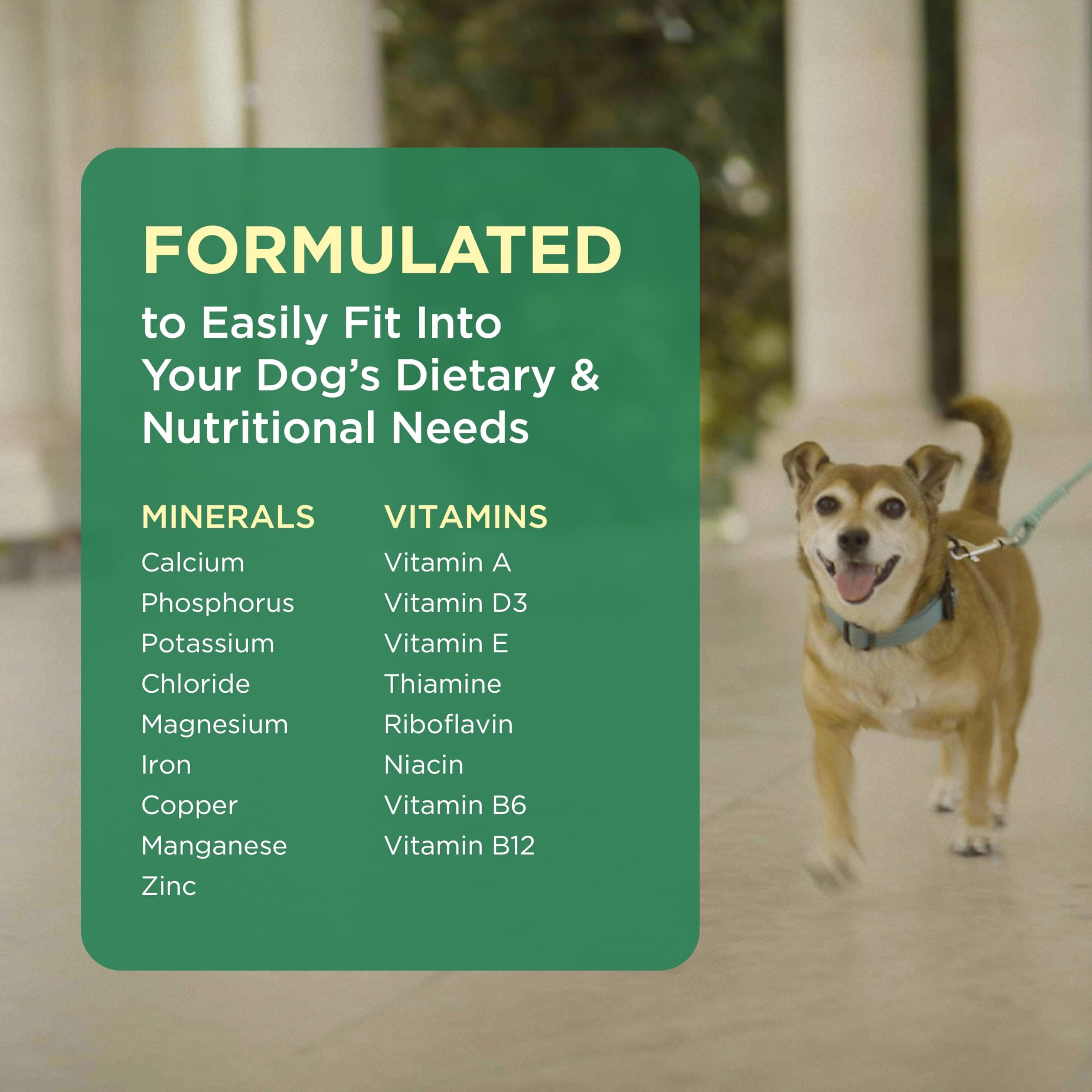 Pet-Tabs Multivitamin and Mineral Supplement for Dogs, Chewable Tablet, 60 Count Bottle - image 5