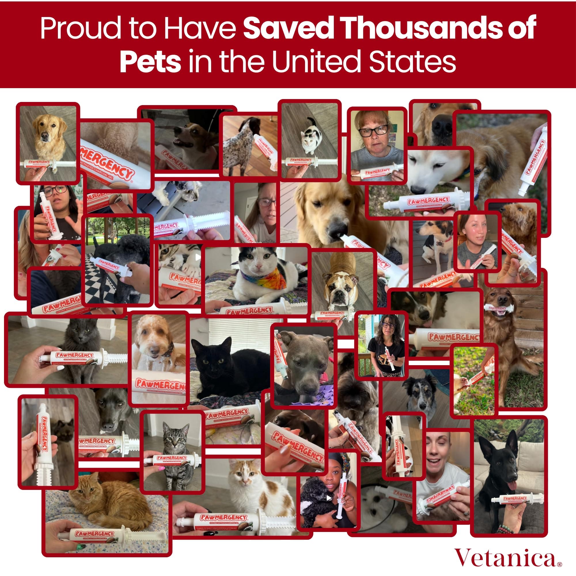 PawMergency – Activated Charcoal First Aid Kit Emergency Rescue for Dogs, Cats, Puppy & Pet Poison Kit, Camping Survival Remedy Essential,Oral Anti Diarrhea Digestive Paste Ready Absorb Toxins - image 4