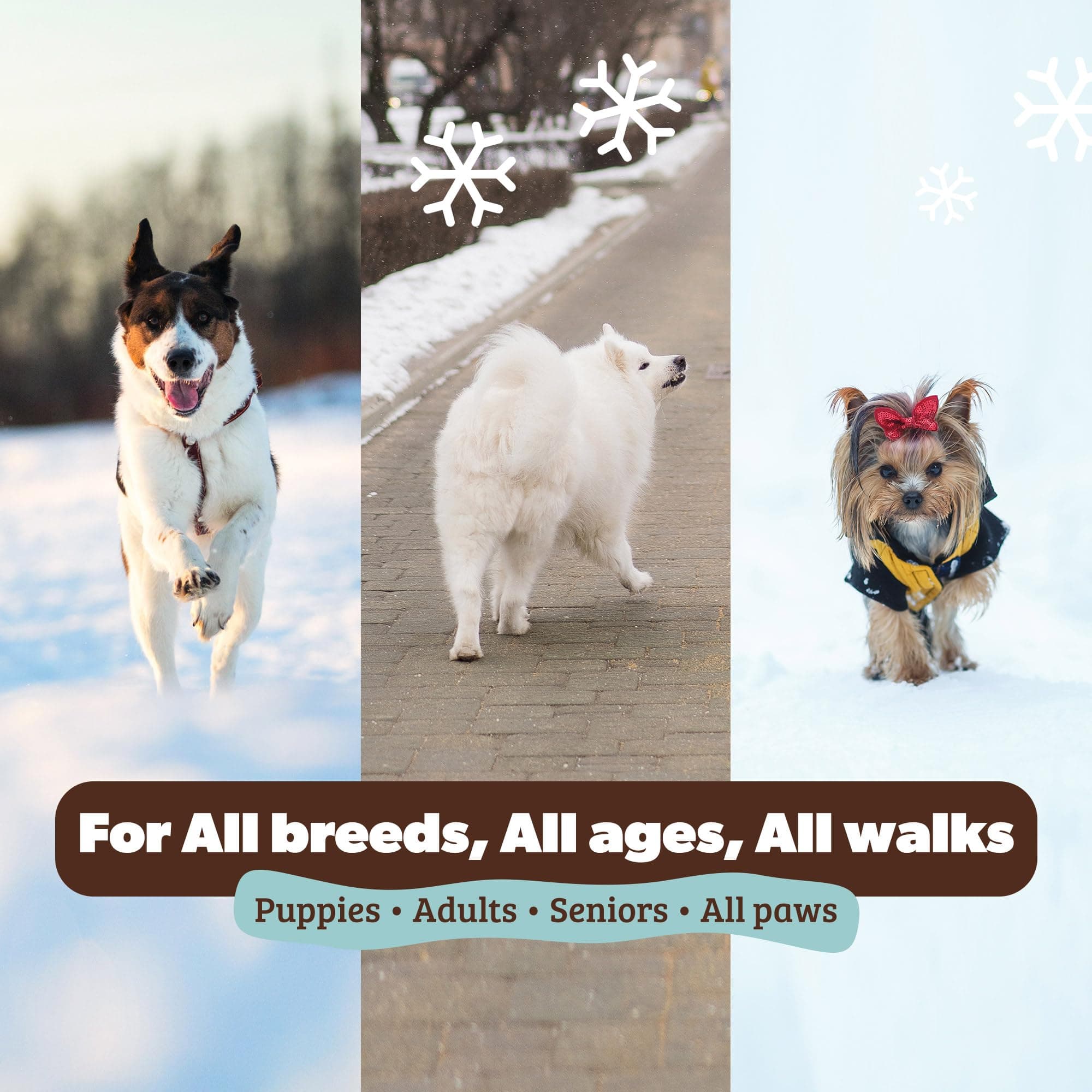 Natural Dog Company PawTection Balm for Dogs – Winter Paw Protection from Snow, Ice & Salt, Wax-Based Paw Barrier Balm, All Breeds for Cold Weather Walks & Outdoor Adventures, Lick-Safe, 2 oz Stick - image 6