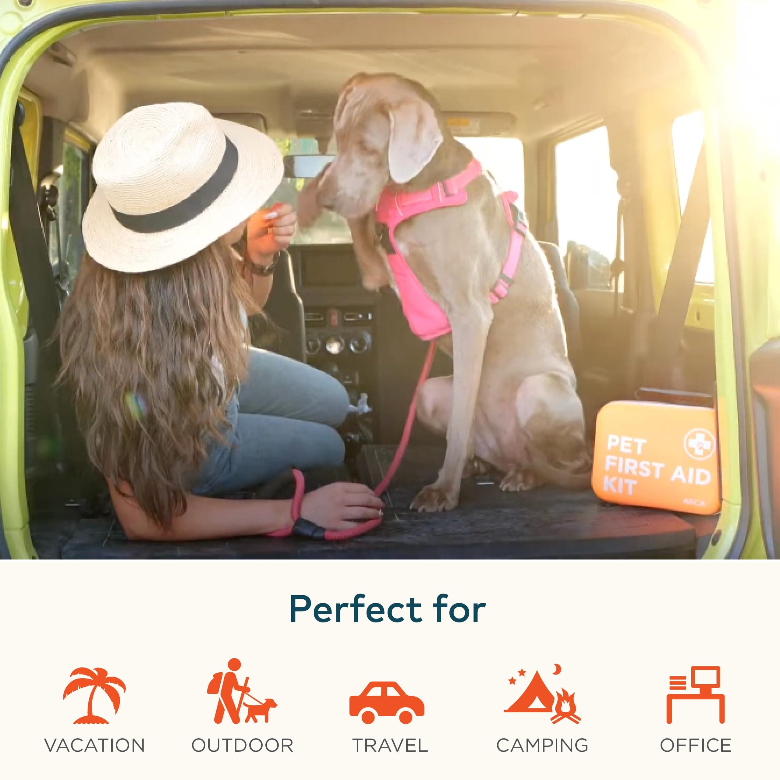 Cat & Dog First Aid Kit for Car - Pet Emergency Kit for Home Office Travel – Dog Camping Essentials with Digital Thermometer, Muzzle & Mini First Aid Pouch - image 5