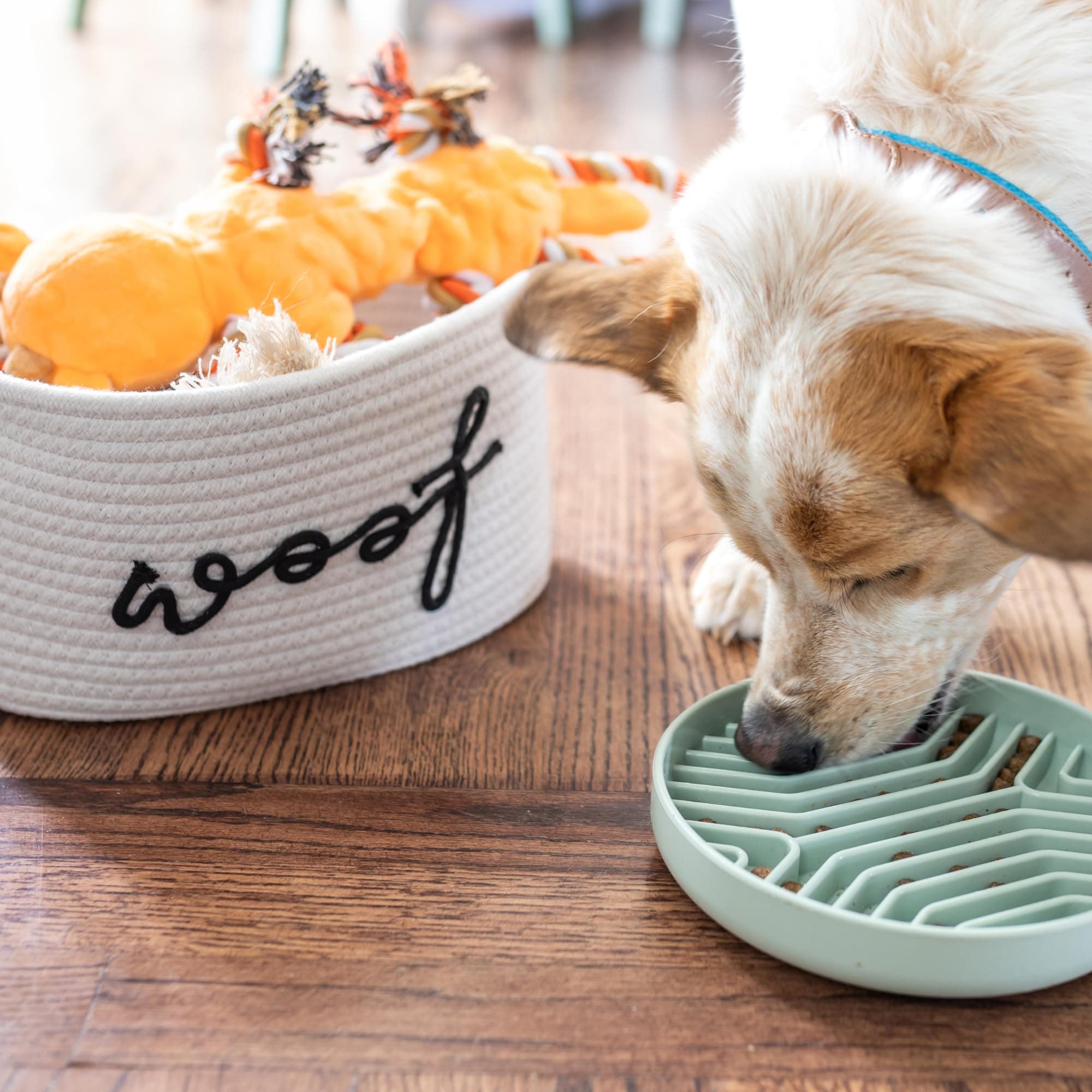 New Puppy Gift Basket - Premium Puppy Starter Kit and Dog Gift Basket with Dog Toys - Perfect Doggie Birthday Gifts and Puppy Necessities with Pet Toy Basket. - image 8