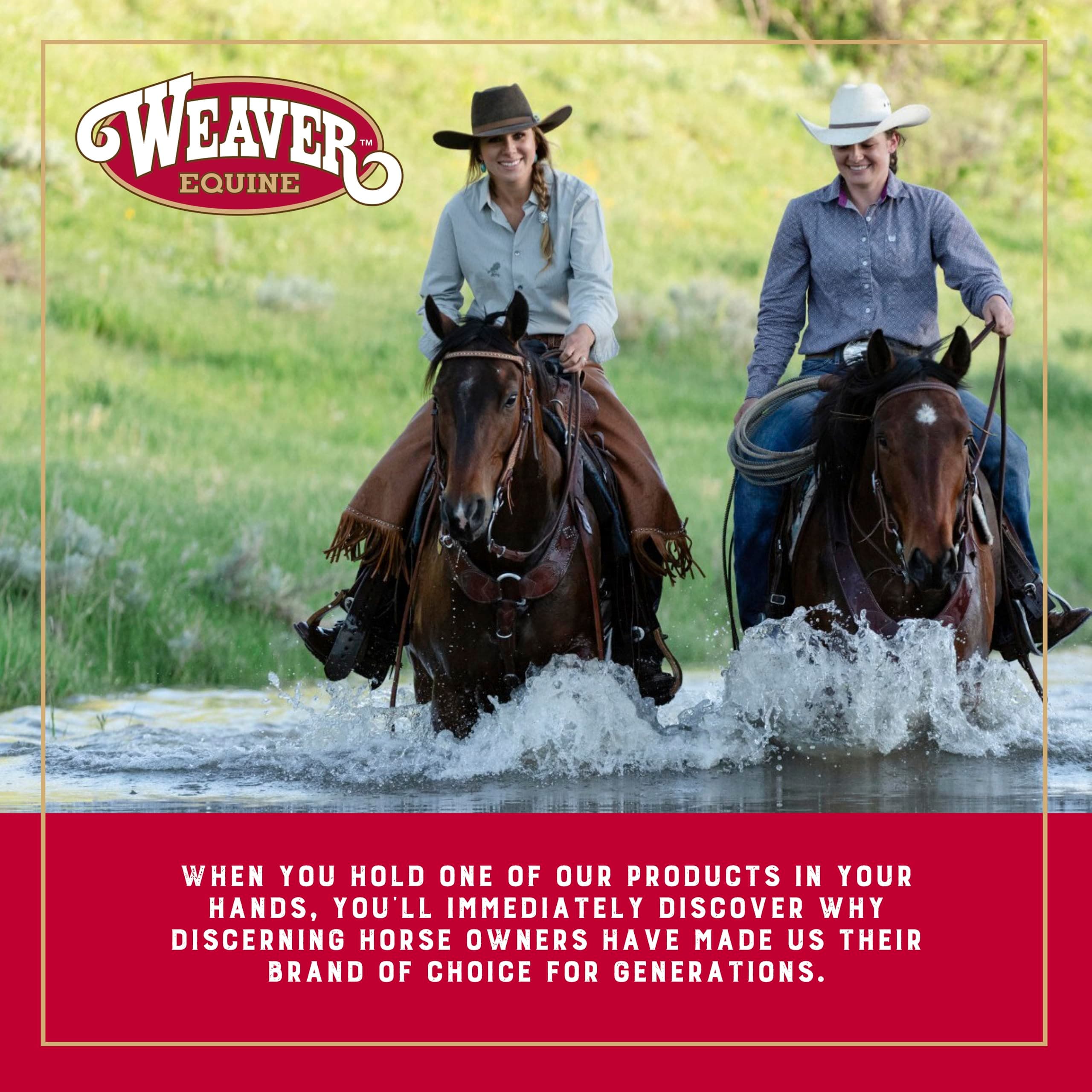 Weaver Equine Horse Grooming Kit, 7-Piece Horse Brush Set with Organizer Tote Bag, Hoof Pick, Comb, Sweat Scraper, Equine Tools for Daily Grooming, Insignia - image 6