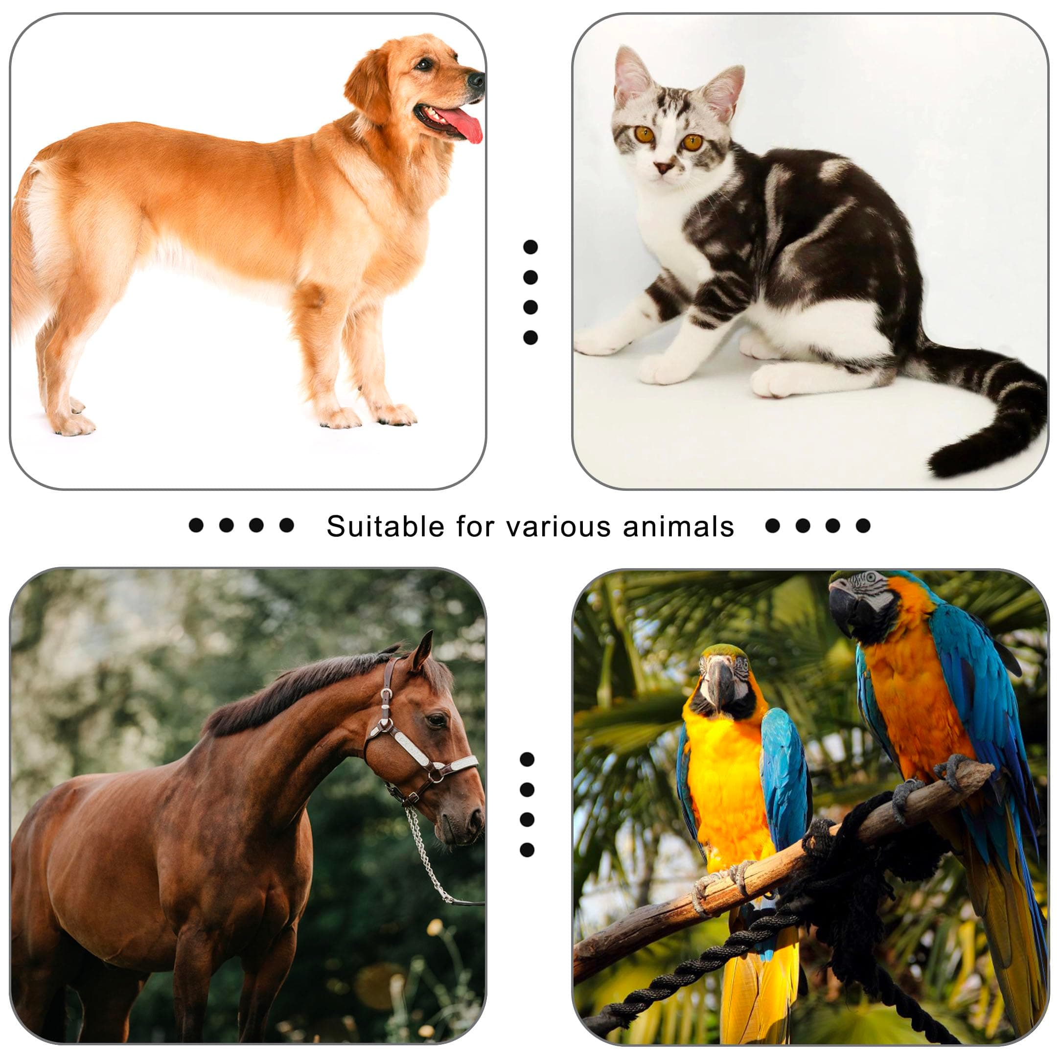 Pet Clicker for Dogs/Cats/Horses/Birds or Other Animals - Clickers for Training (Blue + Green) - image 4