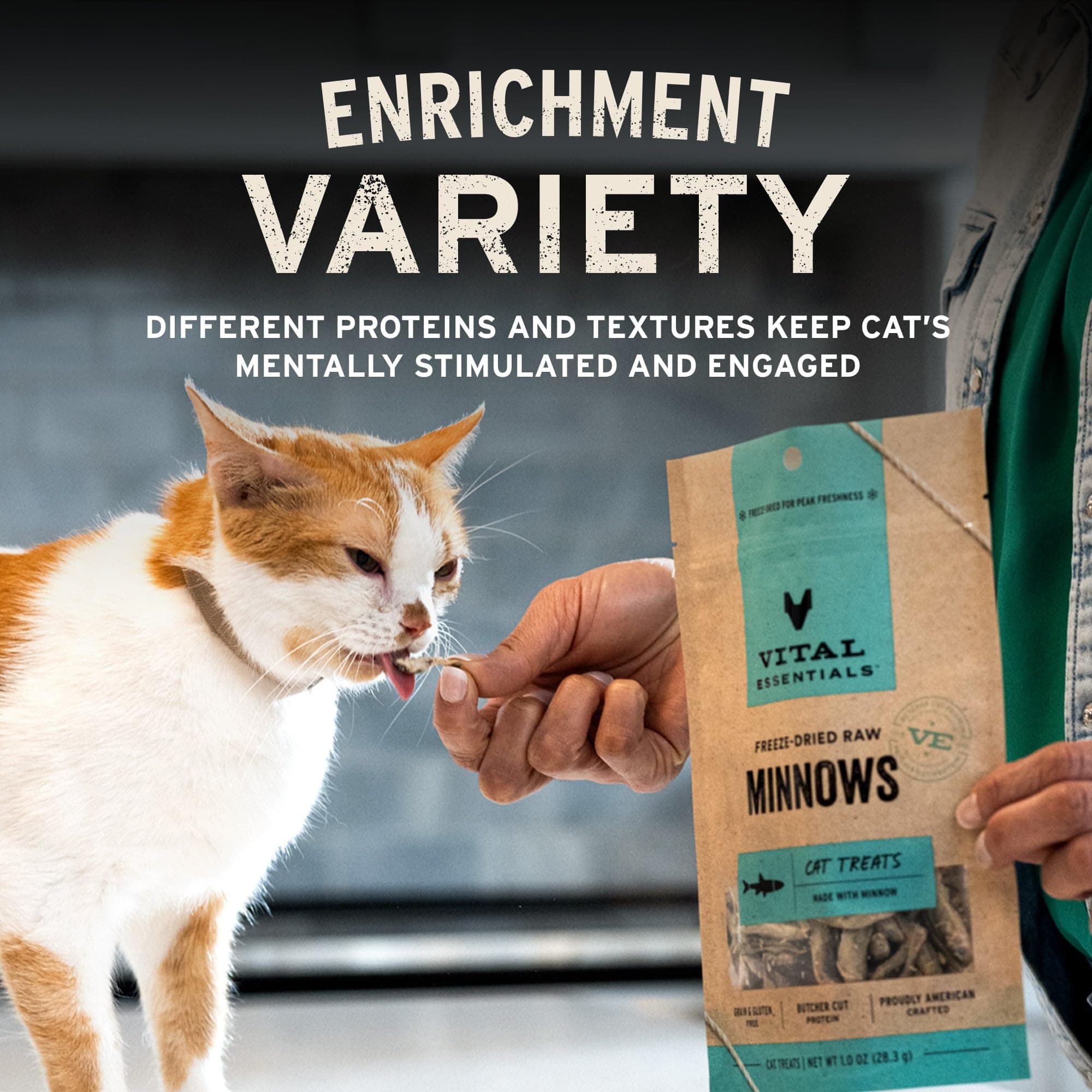 Vital Essentials Freeze Dried Cat Treats | Rabbit Bites, Single Protein | Premium Quality | Grain Free, Crunchy Cat Treats, 0.9 oz Bag - image 6