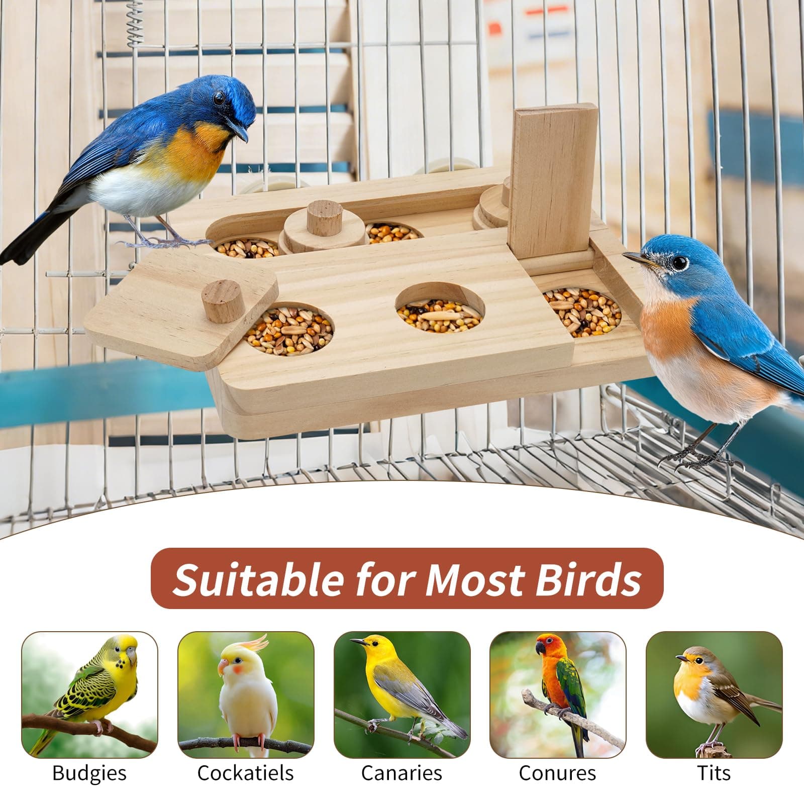 Wooden Bird Foraging Puzzle Toys for Small Parrots, Foraging Toys for Birds, Interactive Mental Enrichment and Seed Feeder Toy for Budgies, Parrotlets, Cage Foraging Training Toy (7.2" x 5.4" x 1.3") - image 6