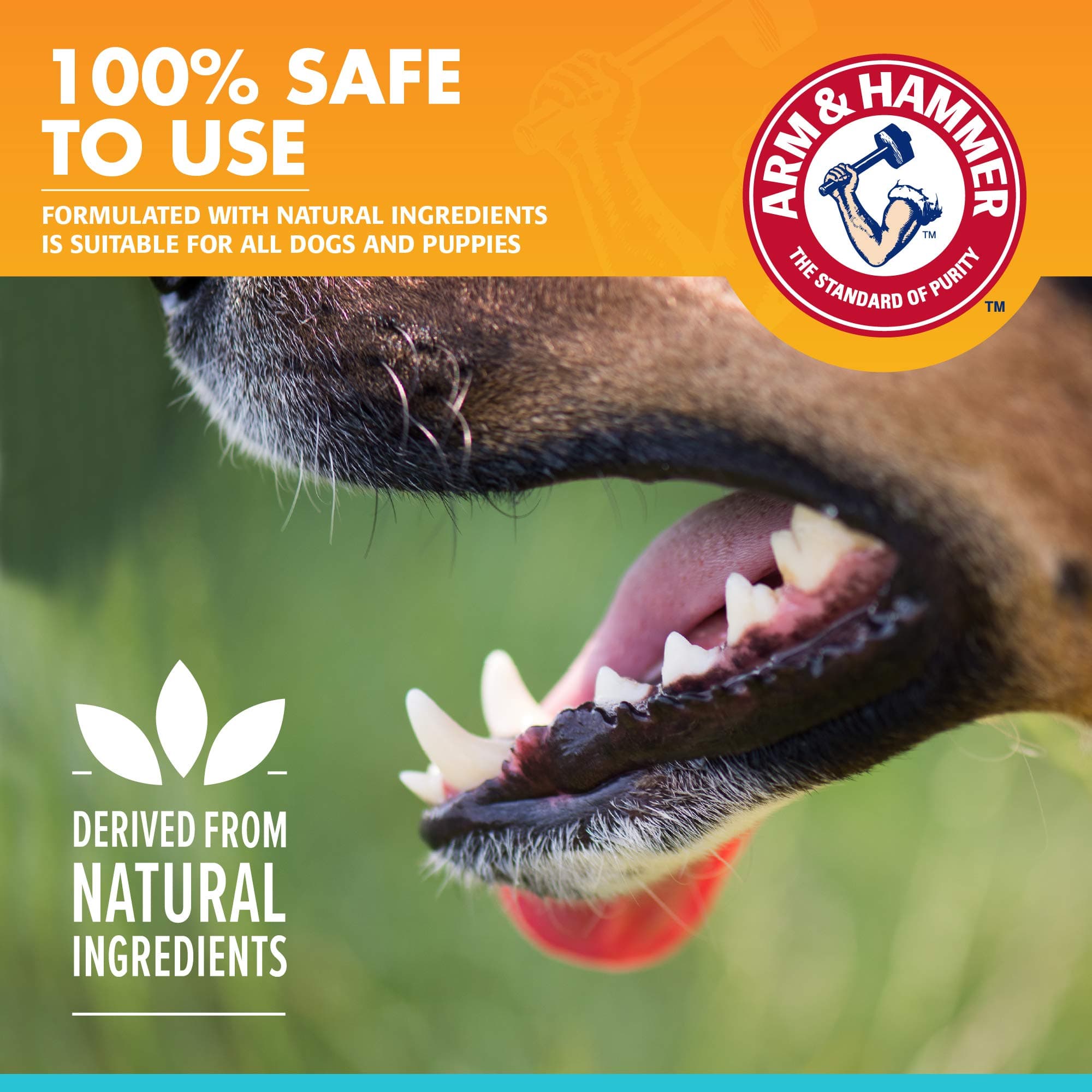 Arm & Hammer for Pets Fresh Breath Enzymatic Dog Toothpaste, Vanilla Ginger Flavor, Safe for Puppies and Adult Dogs, Daily Baking Soda Dental Gel to Eliminate Bad Breath, 2.5 Oz - image 5