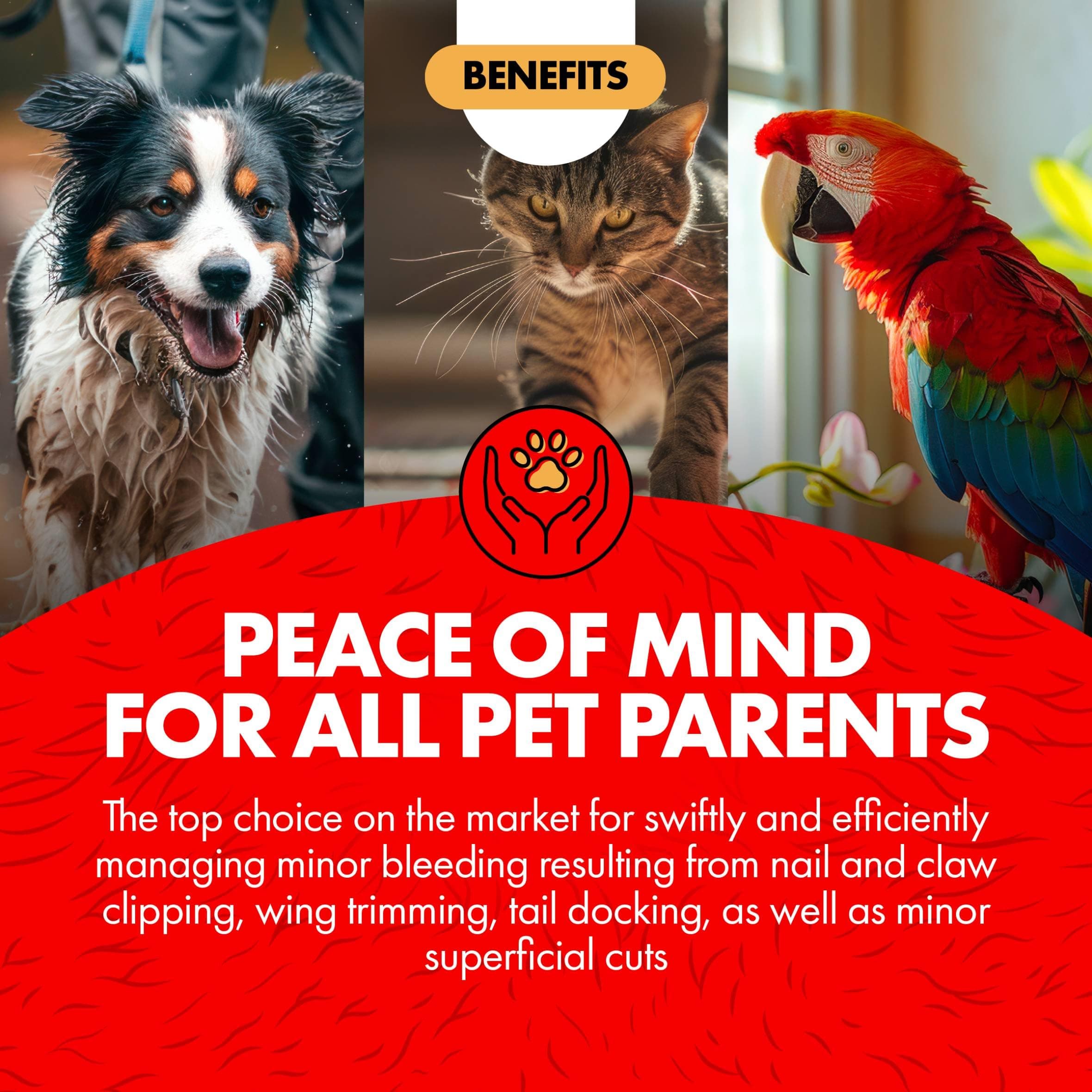 Miracle Care Kwik Stop Styptic Powder for Dogs, Cats and Birds, 0.5 Ounce, Fast Acting Blood Stop Powder with Pain Relieving Benzocaine - image 4