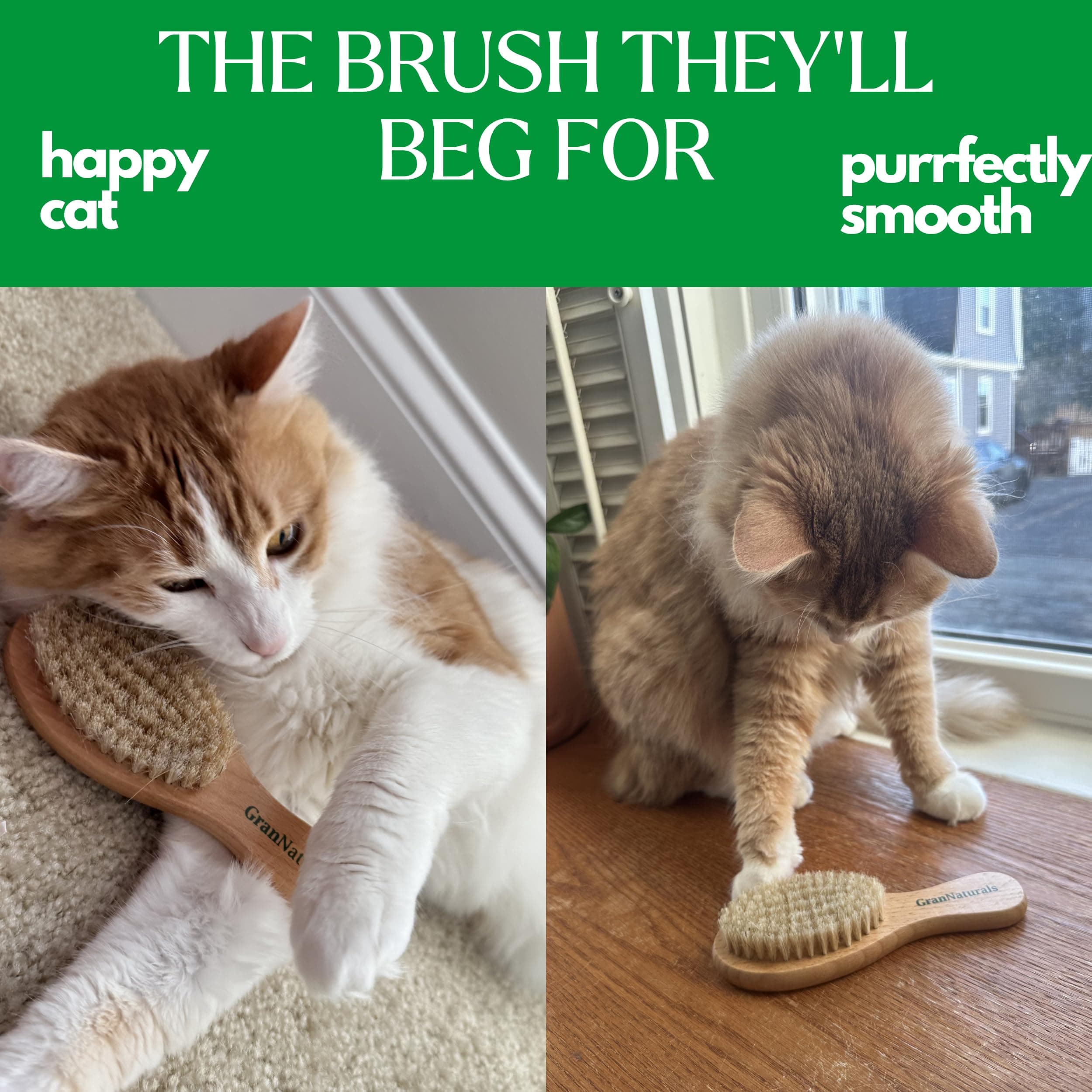 GranNaturals Boar Bristle Soft Cat Brush for Indoor, Outdoor, Short Haired Cats, Kittens, Small Dog, Rabbit, Furry Pets - Gentle Grooming on Sensitive Hair Coat & Tail with Durable Wooden Handle - image 6