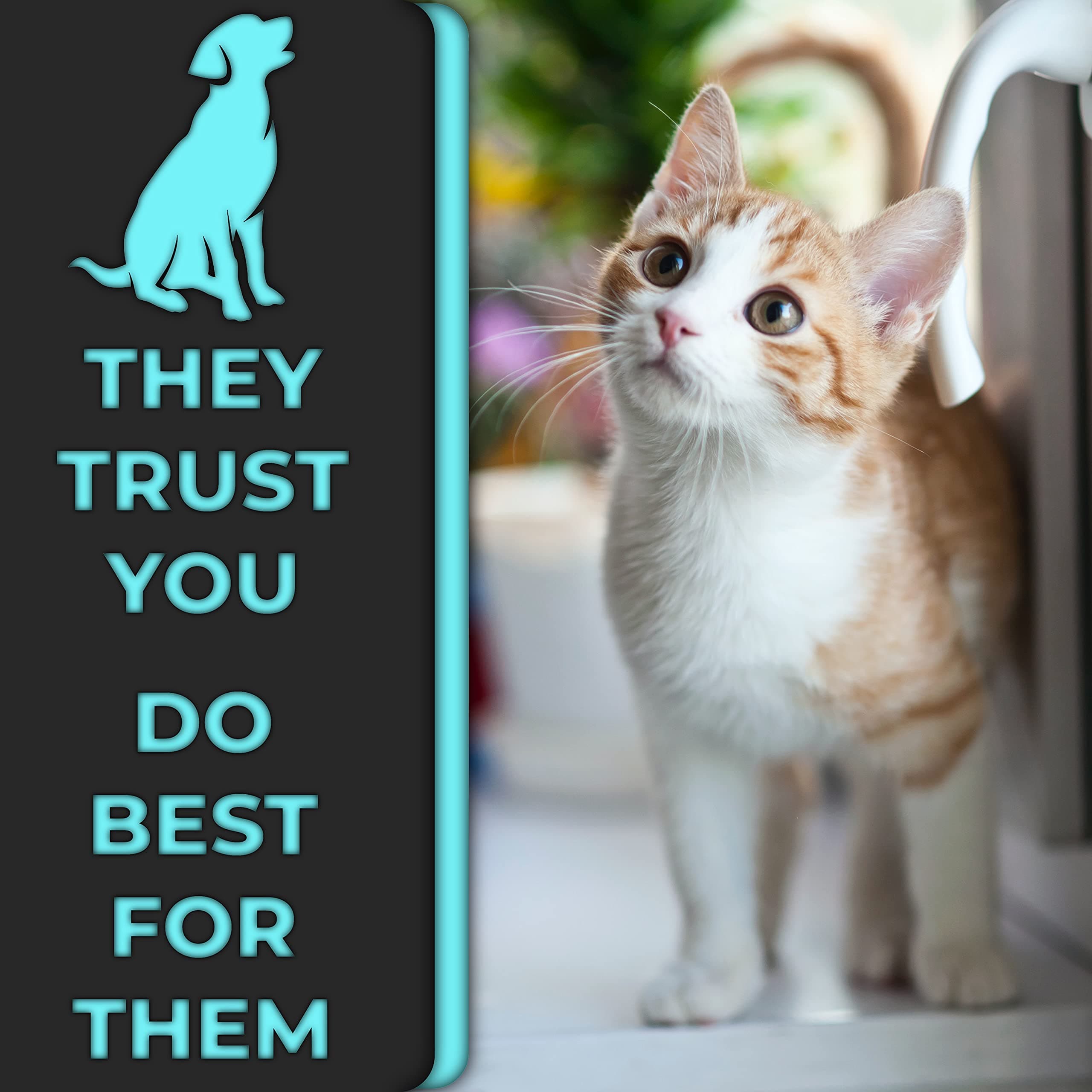 Cat Nail Clipper by H&H Pets - Professional Sharp Stainless Steel Claw Clipper Trimmer with Sturdy Non Slip Handles - for Small Animal & Cats Nail Cutter - image 6