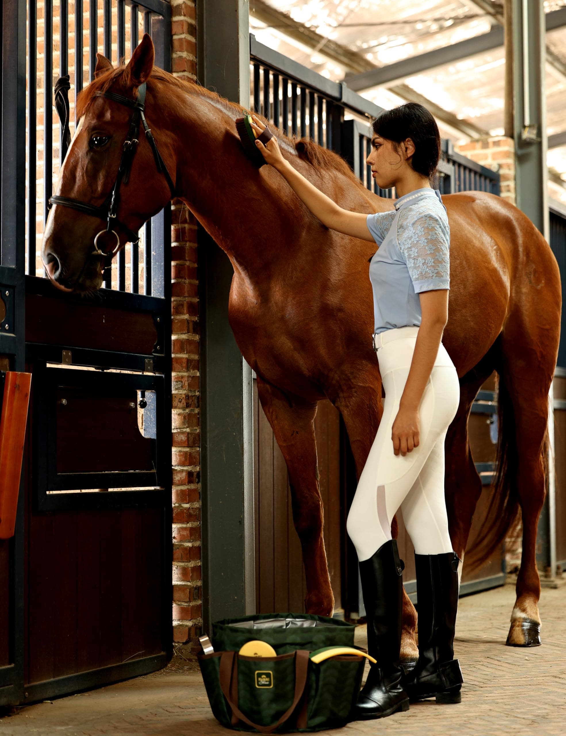 9-Piece Horse Grooming Brush Kit, Silicone Curry Comb & Grooming Brushes for Daily Care, Bathing & Shedding Pasture Glow - image 8