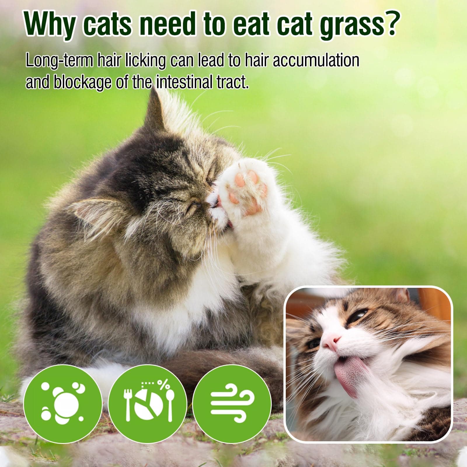 100g/3.52oz Cat Grass Treats, Cat Grass Teething Stick for Hairball Remove and Teeth Cleaning, Edible Cats-Grass Stick Snack - image 6