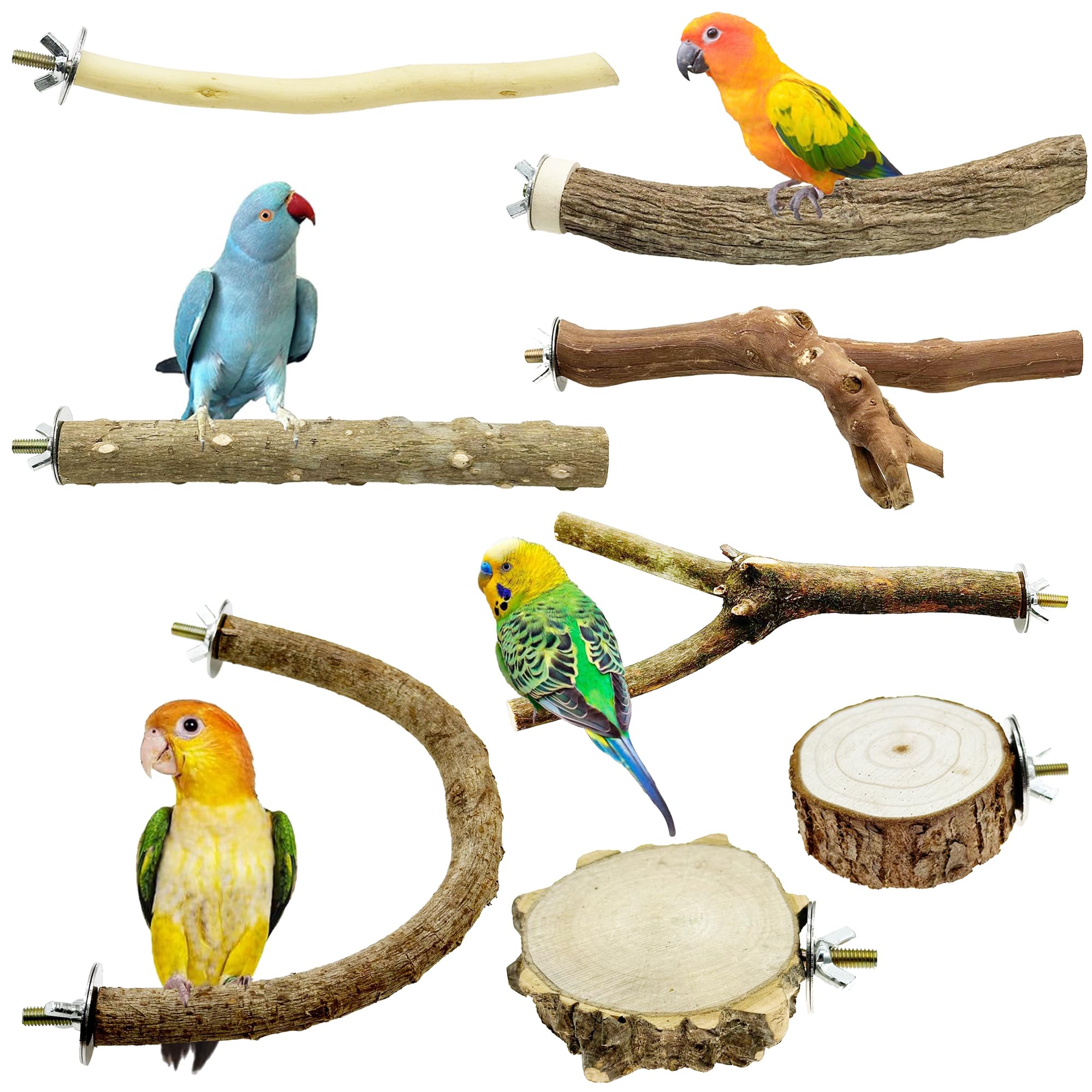 Allazone 8 PCS Natural Wood Bird Perch Set, U Shape, Forking, No Branch, O Shaped Platform, Suitable for Cockatiel, Cockatoo, Budgie, Parakeet, Conure, Macaw, Love Bird