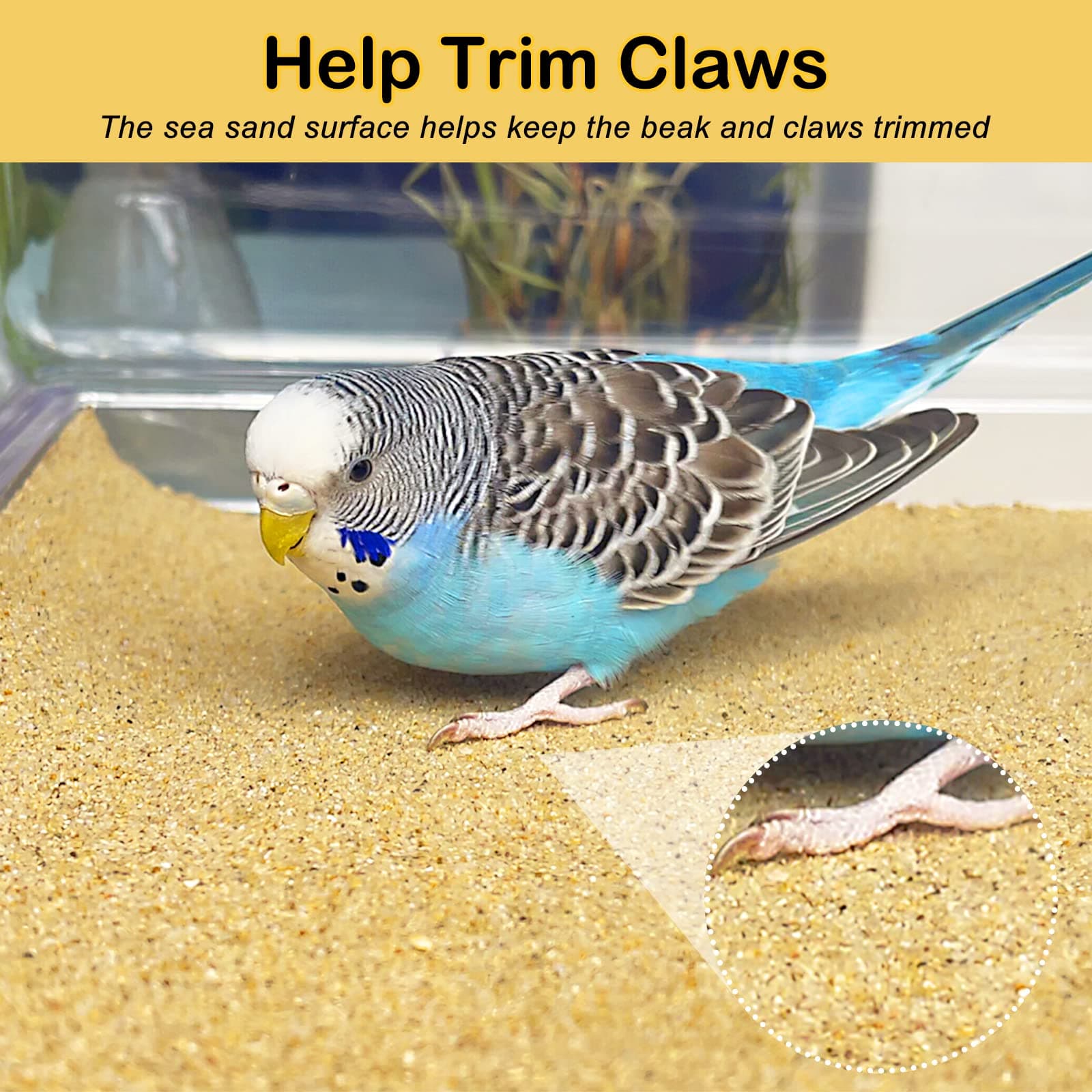 S&X Gravel Paper for Bird Cage 30-Pack 15" x 9.5" Bird Cage Liners Disposable for Enhanced Hygiene and Bird Health - image 3