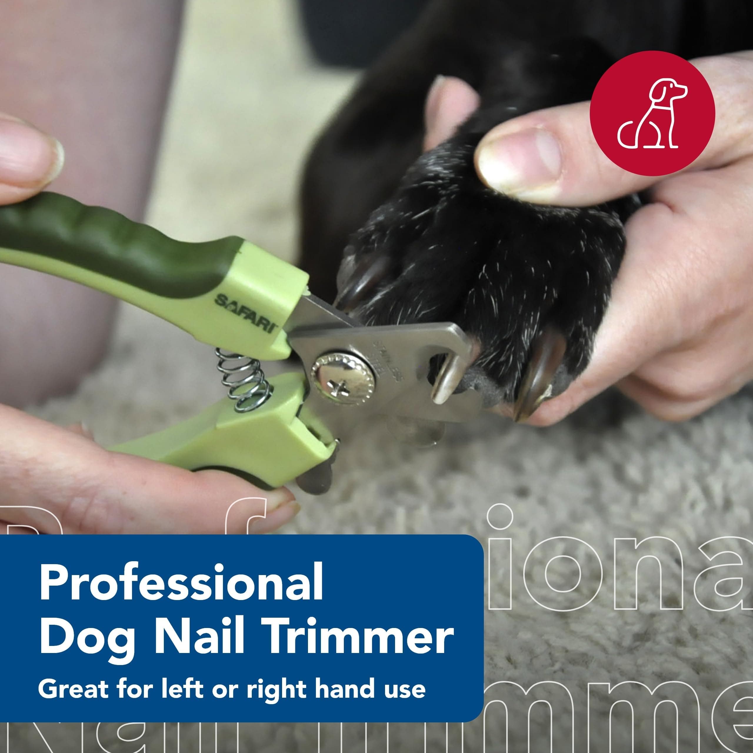 Coastal Pet Safari Professional Dog Nail Trimmer - Nail Clippers & Supplies for Grooming - Dog Claw Care for Small & Large Pets - Large, 6.6" x 2" - image 2