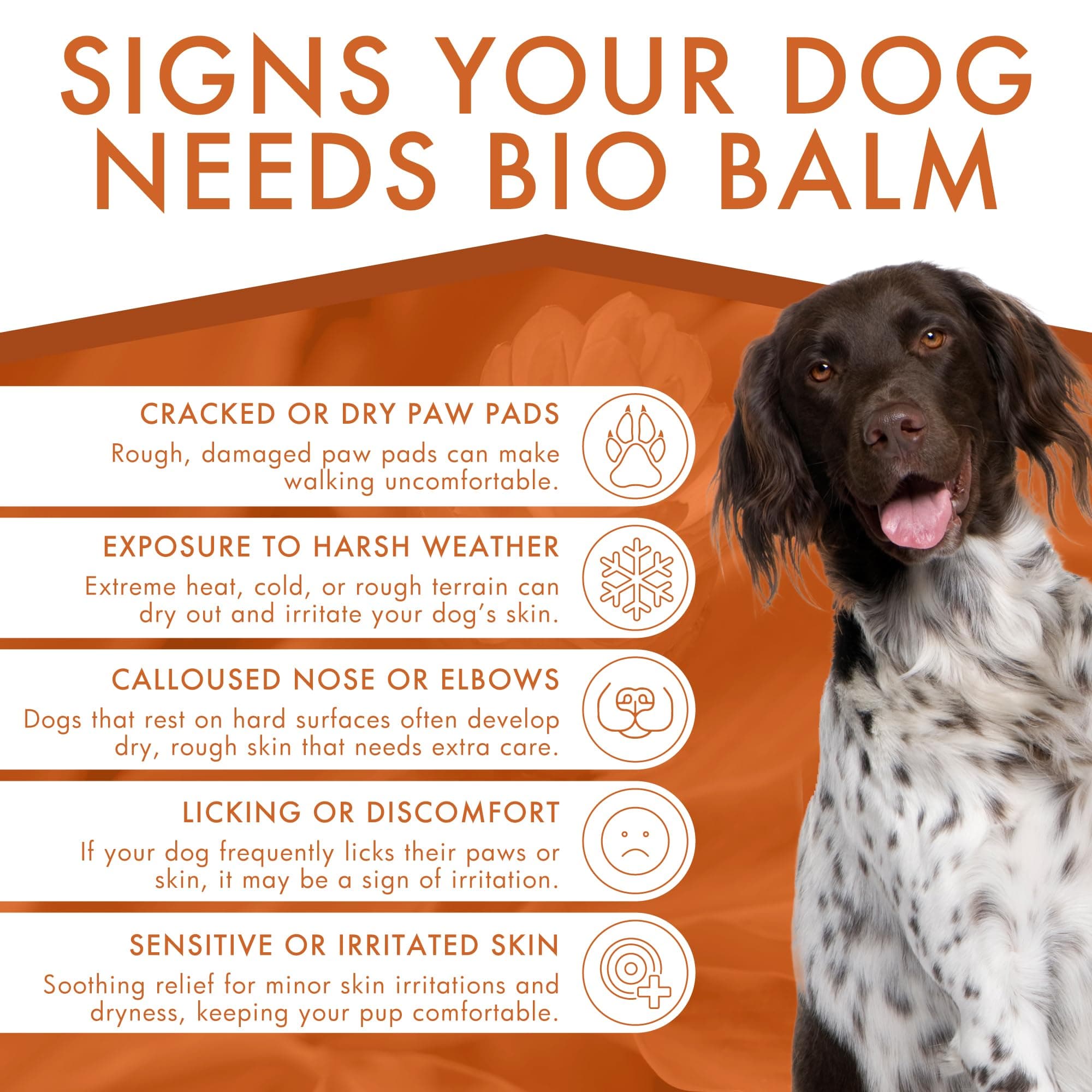 Dermoscent | Bio Balm | Natural, Organic, Healing Dog Paw Balm | Skin & Paw Soother For Dogs With Dry, Cracked, & Rough Paws | Veterinarian-Approved Paw Pad Moisturizer & Protector - image 3
