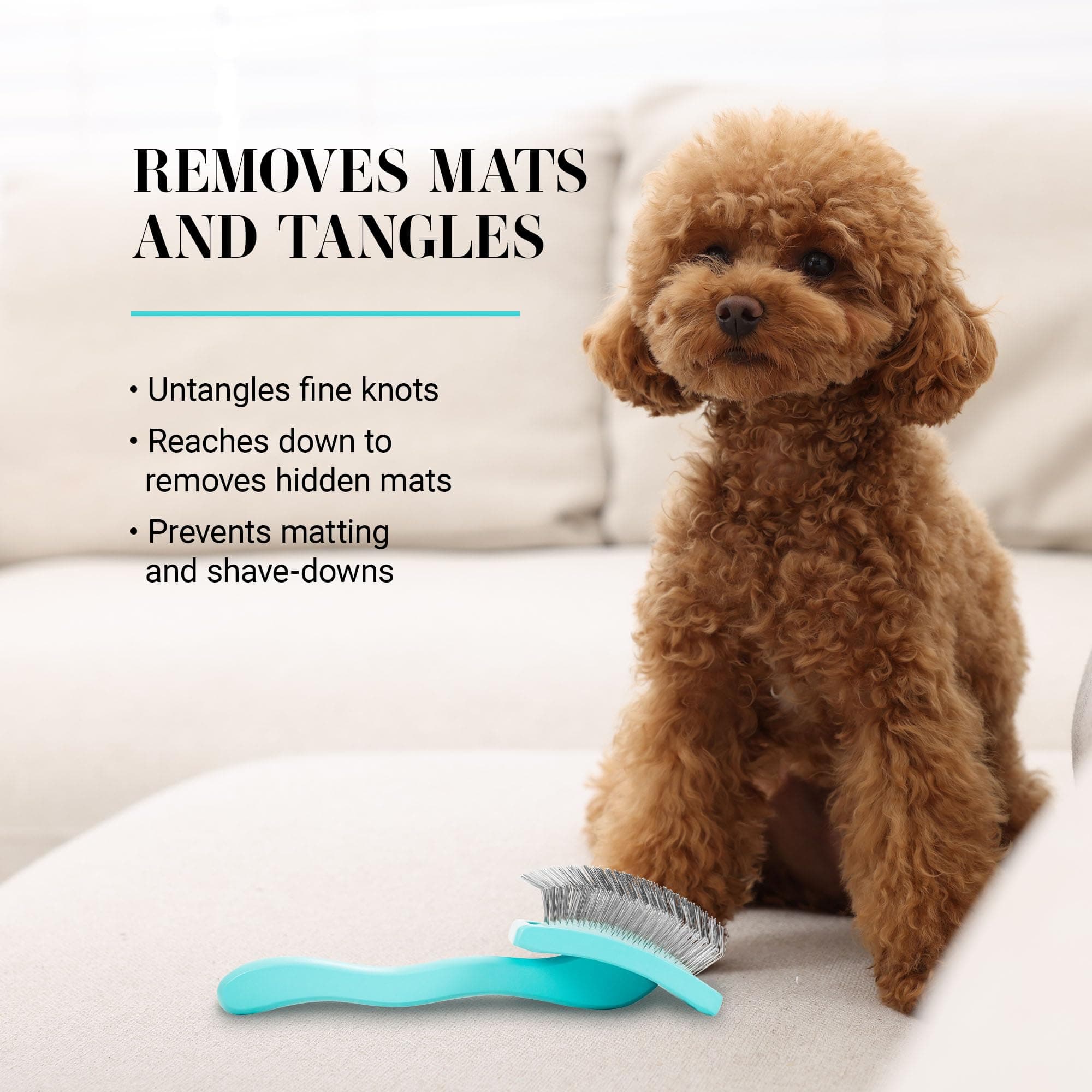 Chris Christensen Big G Dog Slicker Brush for Dogs (Goldendoodles, Labradoodles, Poodles), Groom Like a Professional, Fluff Detangle Style, Saves Time Energy, Teal, Large - image 5