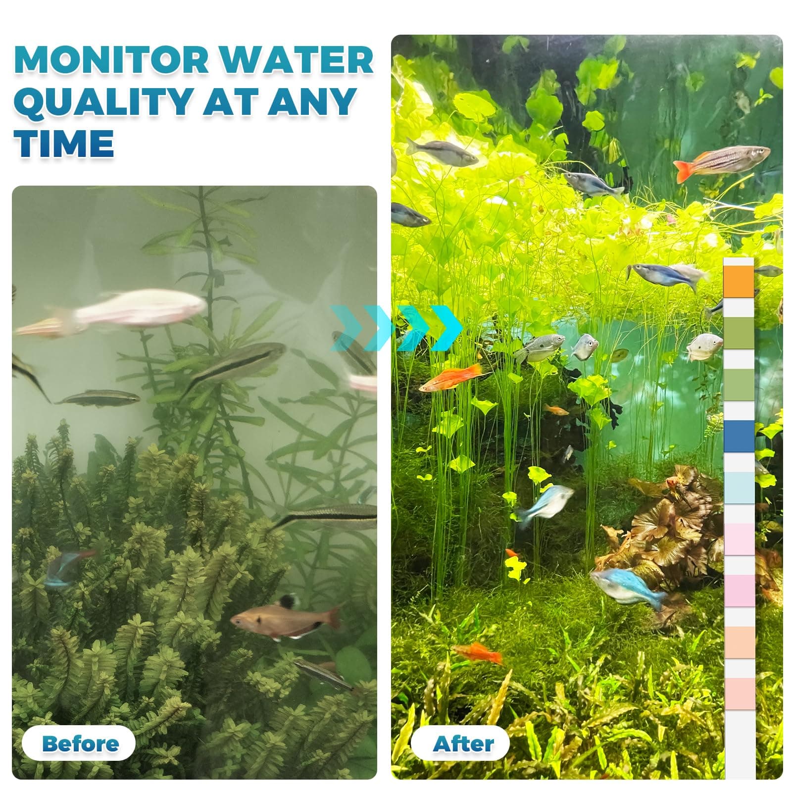 Aquarium Test Strips: 200CT 9 in 1 Quick & Accurate Fish Tank Water Testing Kit for Freshwater Pond Testing Nitrate Nitrite Hardness Free Chlorine pH Carbonate Total Alkalinity Copper Iron - image 4