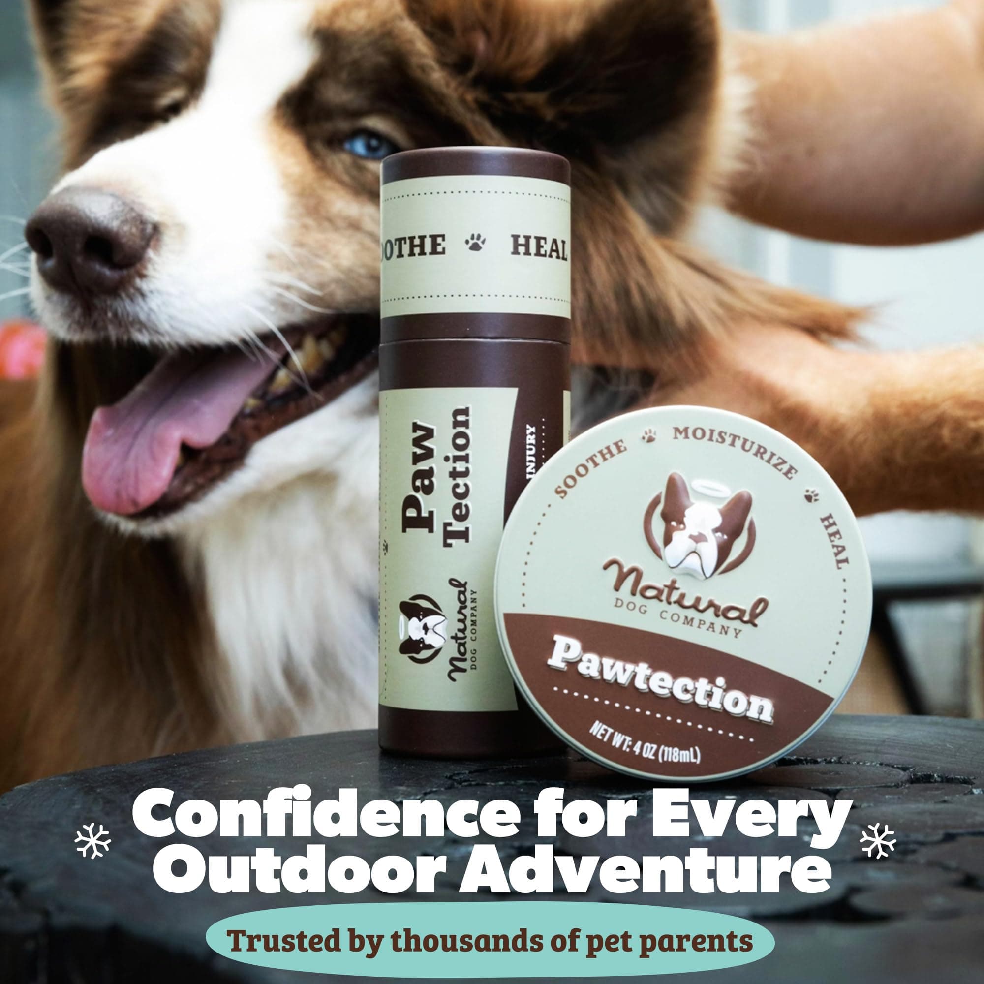 Natural Dog Company PawTection Balm for Dogs – Winter Paw Protection from Snow, Ice & Salt, Wax-Based Paw Barrier Balm, All Breeds for Cold Weather Walks & Outdoor Adventures, Lick-Safe, 2 oz Stick - image 7