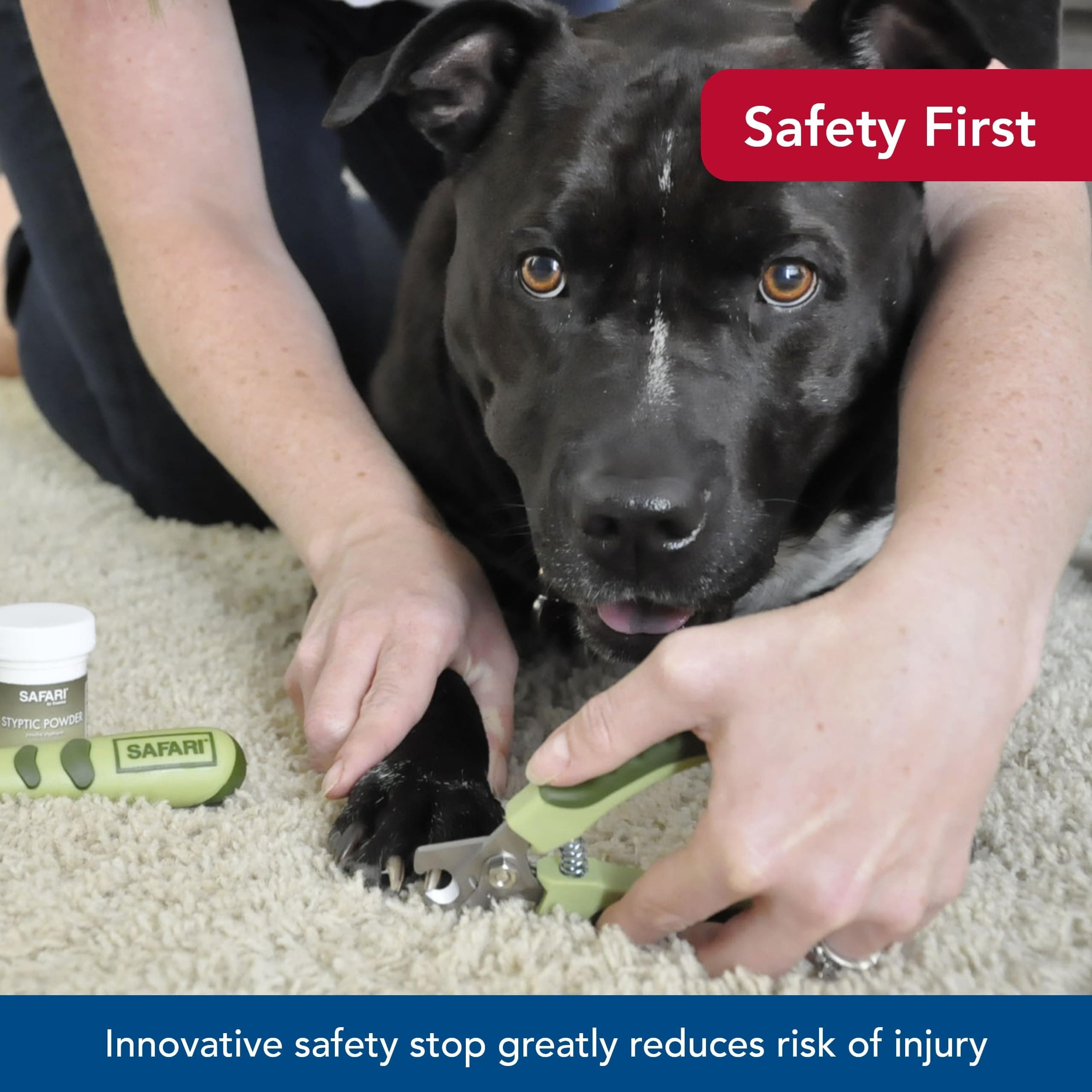 Coastal Pet Safari Professional Dog Nail Trimmer - Nail Clippers & Supplies for Grooming - Dog Claw Care for Small & Large Pets - Large, 6.6" x 2" - image 6