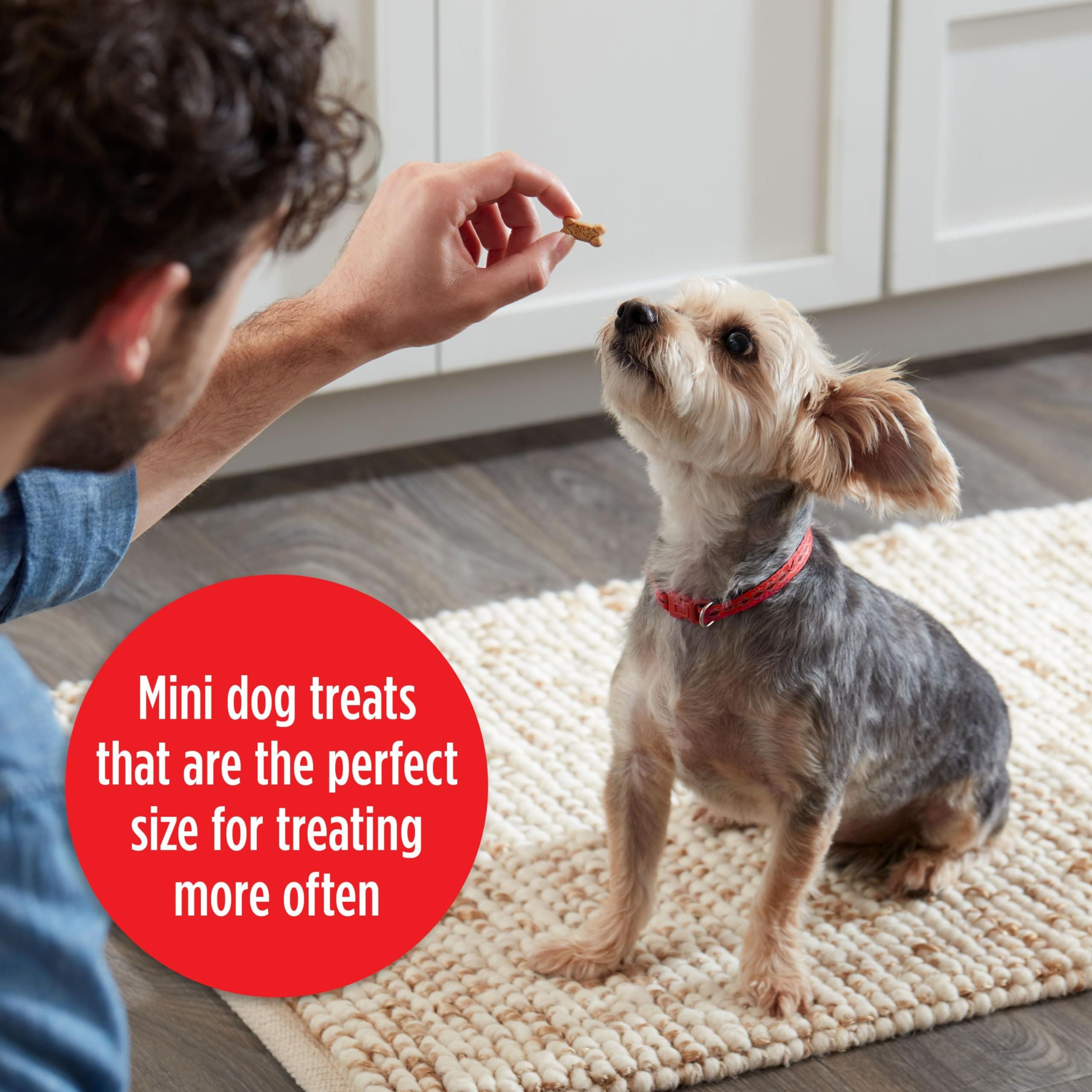 Milk-Bone Soft & Chewy Mini’s Dog Treats Made with Real Chicken, 18 Oz. - image 3
