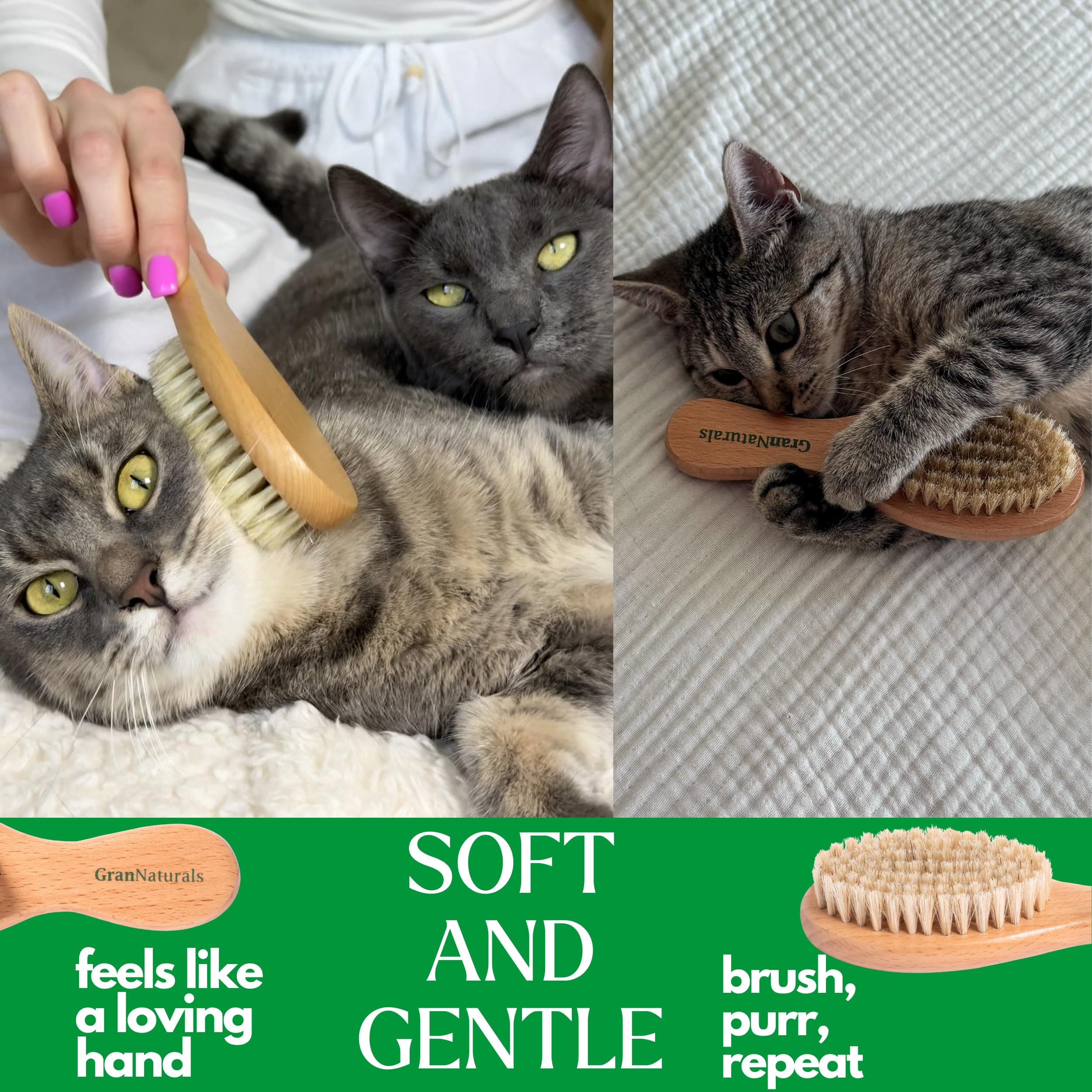 GranNaturals Boar Bristle Soft Cat Brush for Indoor, Outdoor, Short Haired Cats, Kittens, Small Dog, Rabbit, Furry Pets - Gentle Grooming on Sensitive Hair Coat & Tail with Durable Wooden Handle - image 2