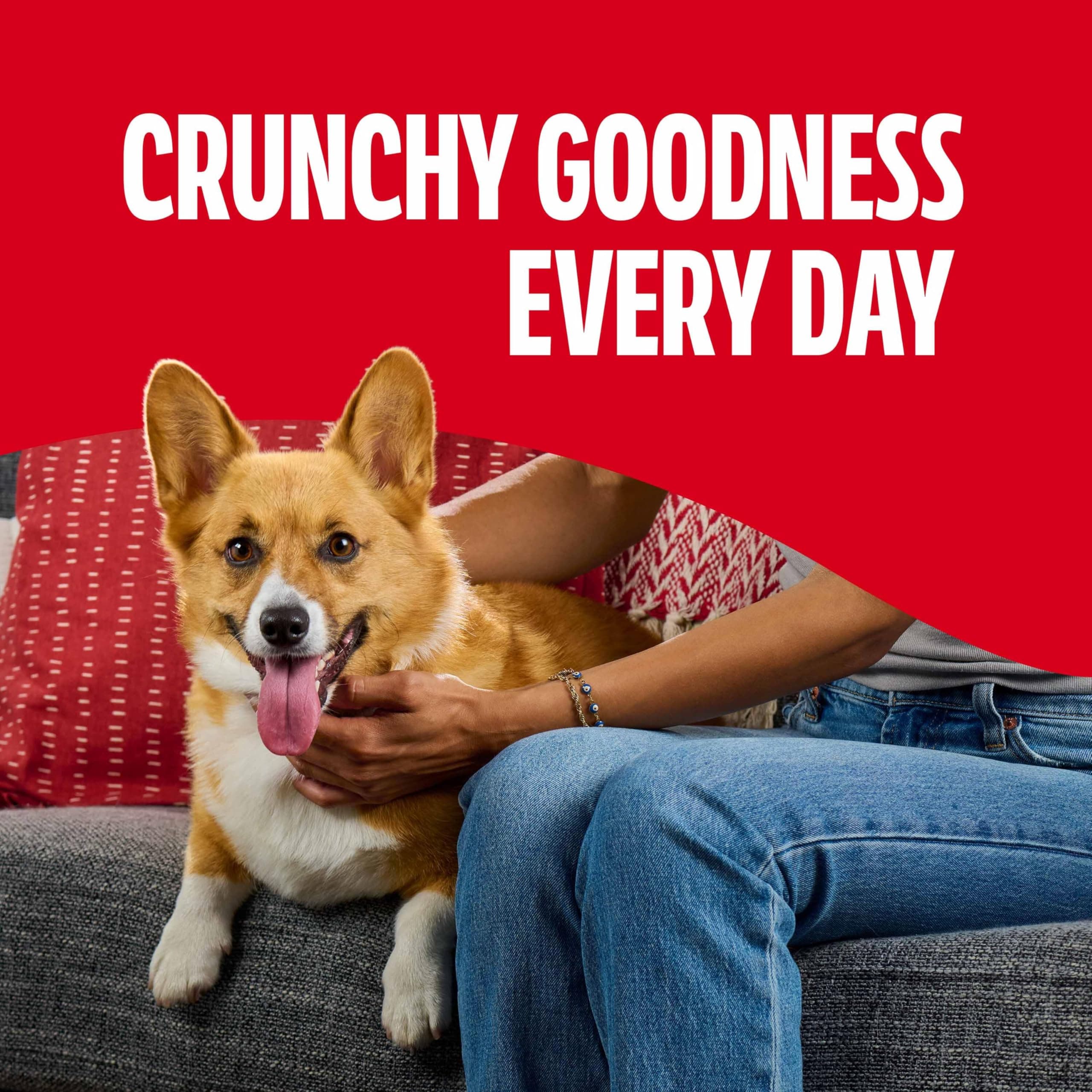 Milk-Bone Flavor Snacks Mini’s Dog Biscuits, Flavored Crunchy Dog Treats, 36 Oz. Canister - image 4