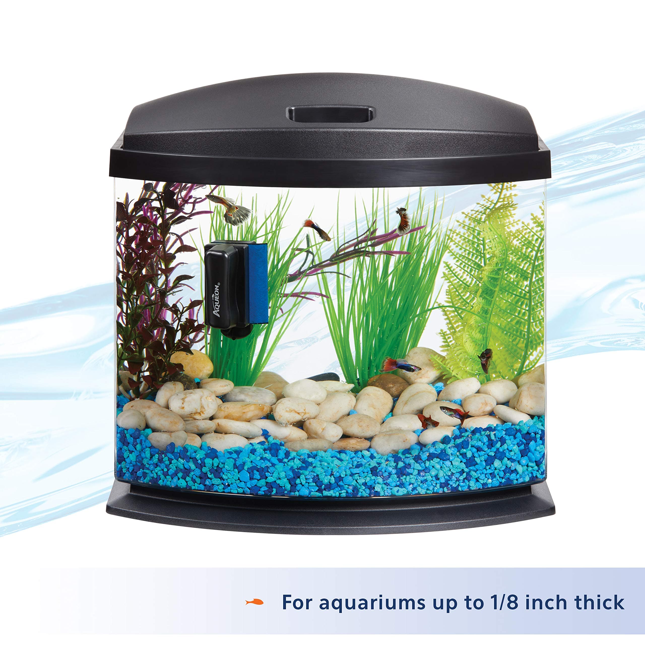 Aqueon Aquarium Algae Scraper, Fish Tank Cleaning Magnets for Glass/Acrylic, Mini - image 6