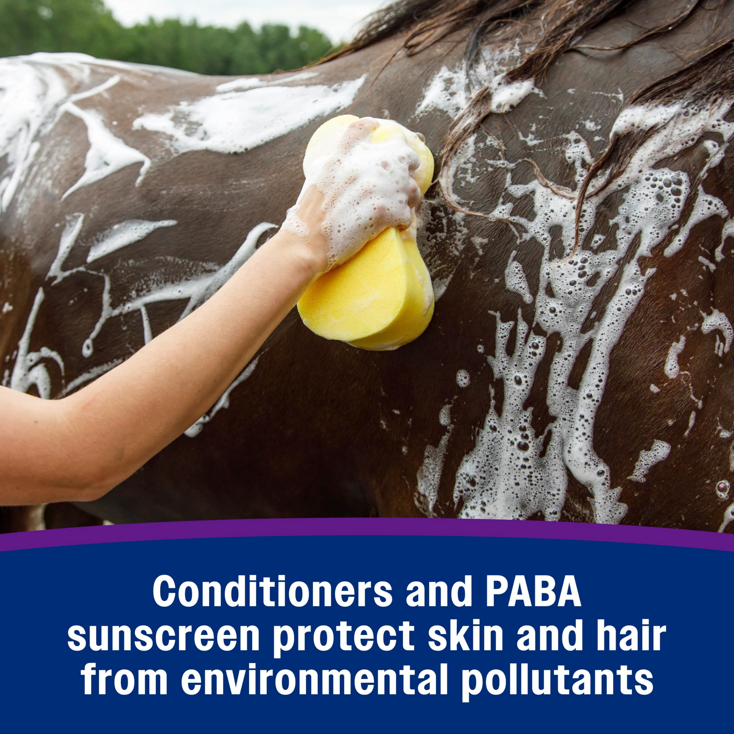 Farnam Vetrolin Bath, Ultra-Hydrating Argan Oil Conditioning Shampoo, Enhances Shine, Soothes Dry Skin, for Horses and Dogs, 64 oz. - image 5