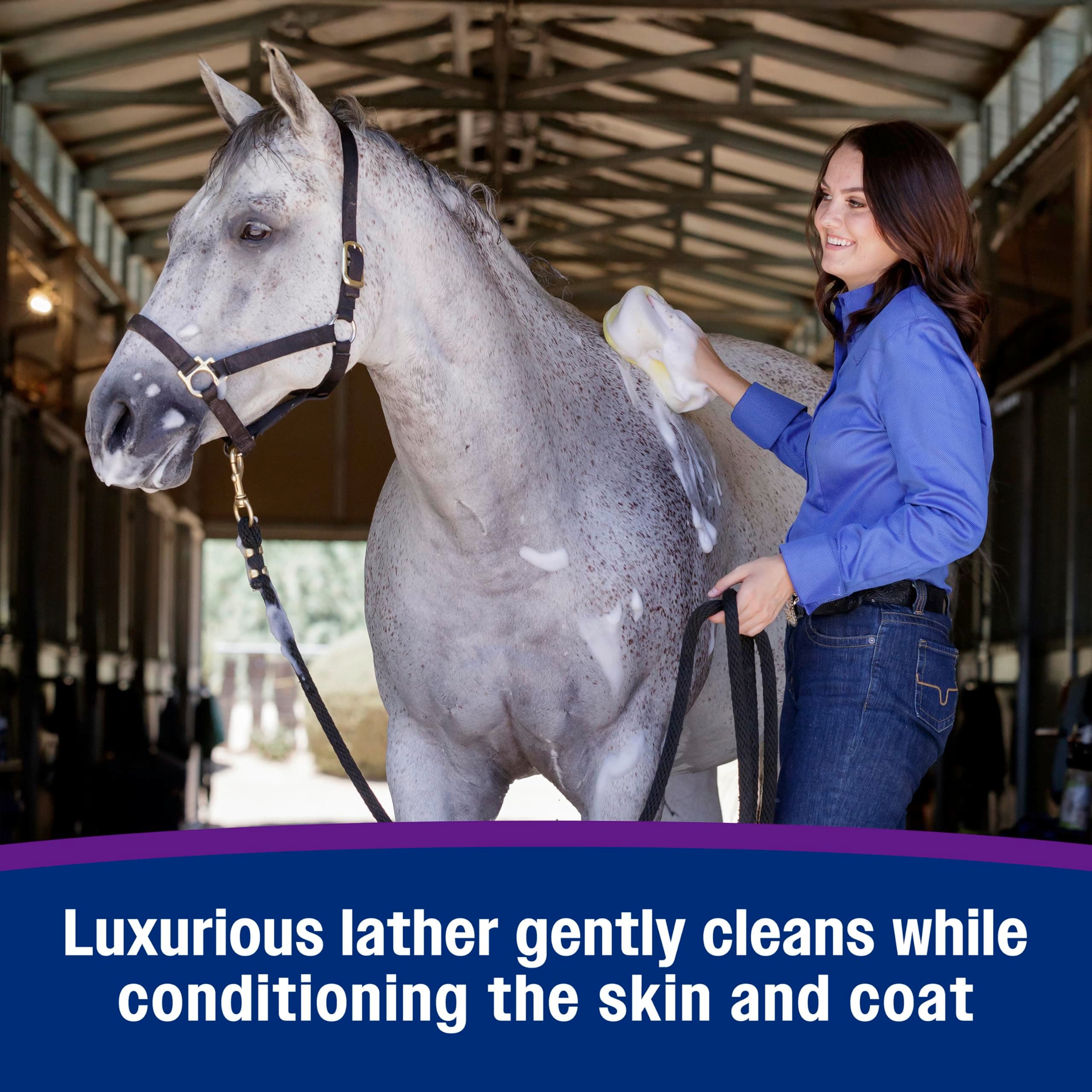 Farnam Vetrolin Bath, Ultra-Hydrating Argan Oil Conditioning Shampoo, Enhances Shine, Soothes Dry Skin, for Horses and Dogs, 64 oz. - image 4