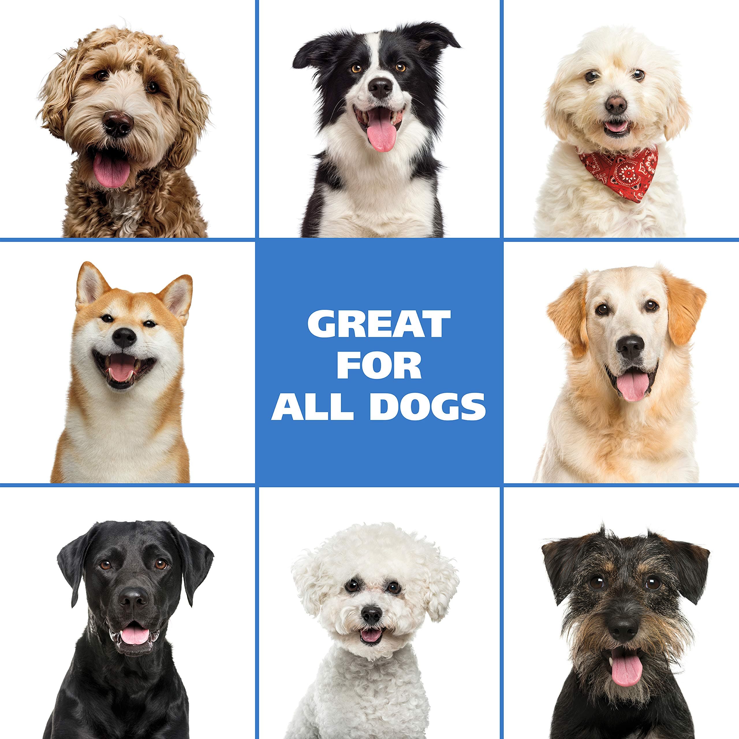 Wahl USA Pet Friendly Waterless No Rinse Shampoo for Animals – Lavender & Chamomile Scented - Cleaning, Conditioning, Detangling, & Moisturizing Shampoo for Dogs – 7.1 Oz - Model 820014A - image 7